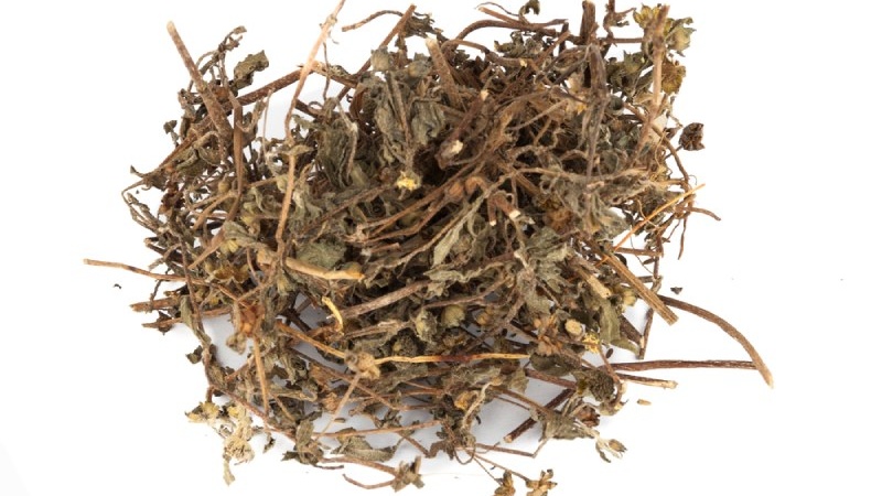 Cây cỏ mực kết hợp với vác vị thuốc khác có lợi cho sức khoẻ