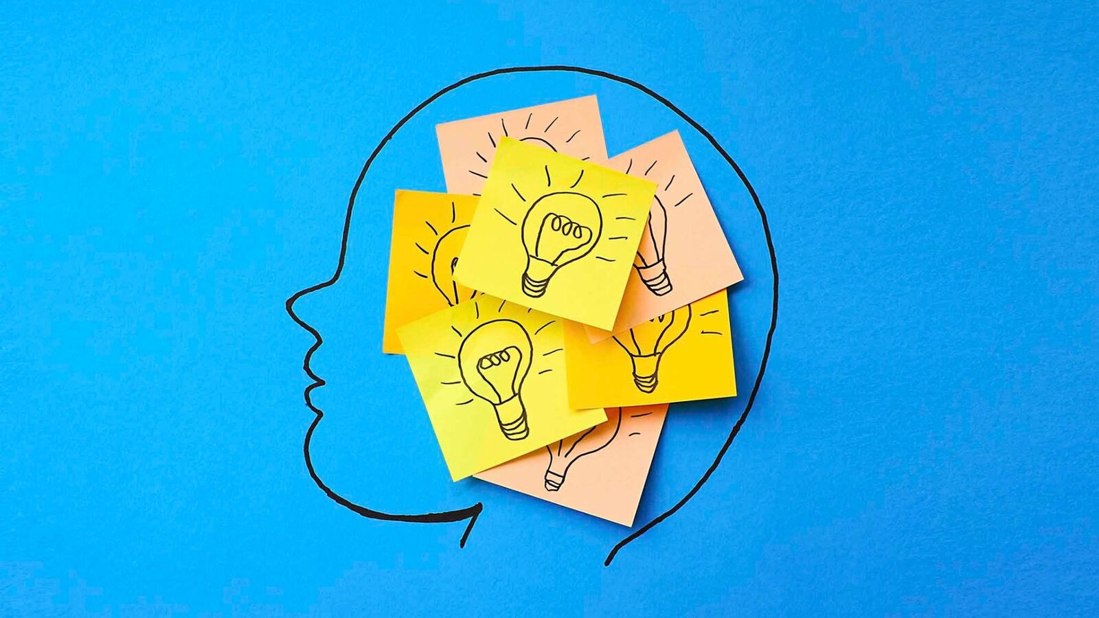 Cây đinh lăng có tác dụng cải thiện trí nhớ và tăng cường sức khỏe toàn diện