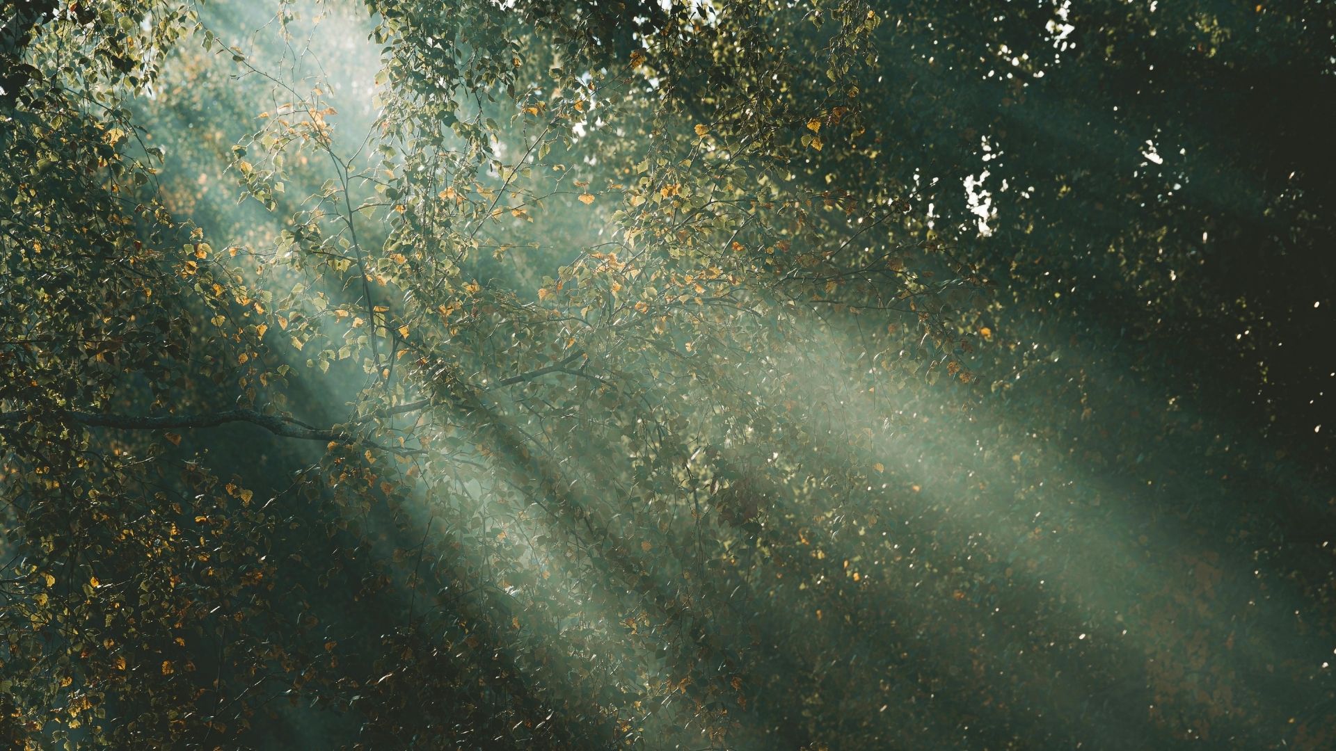 Tắm nắng đúng thời gian giúp trẻ phát triển hệ xương khớp