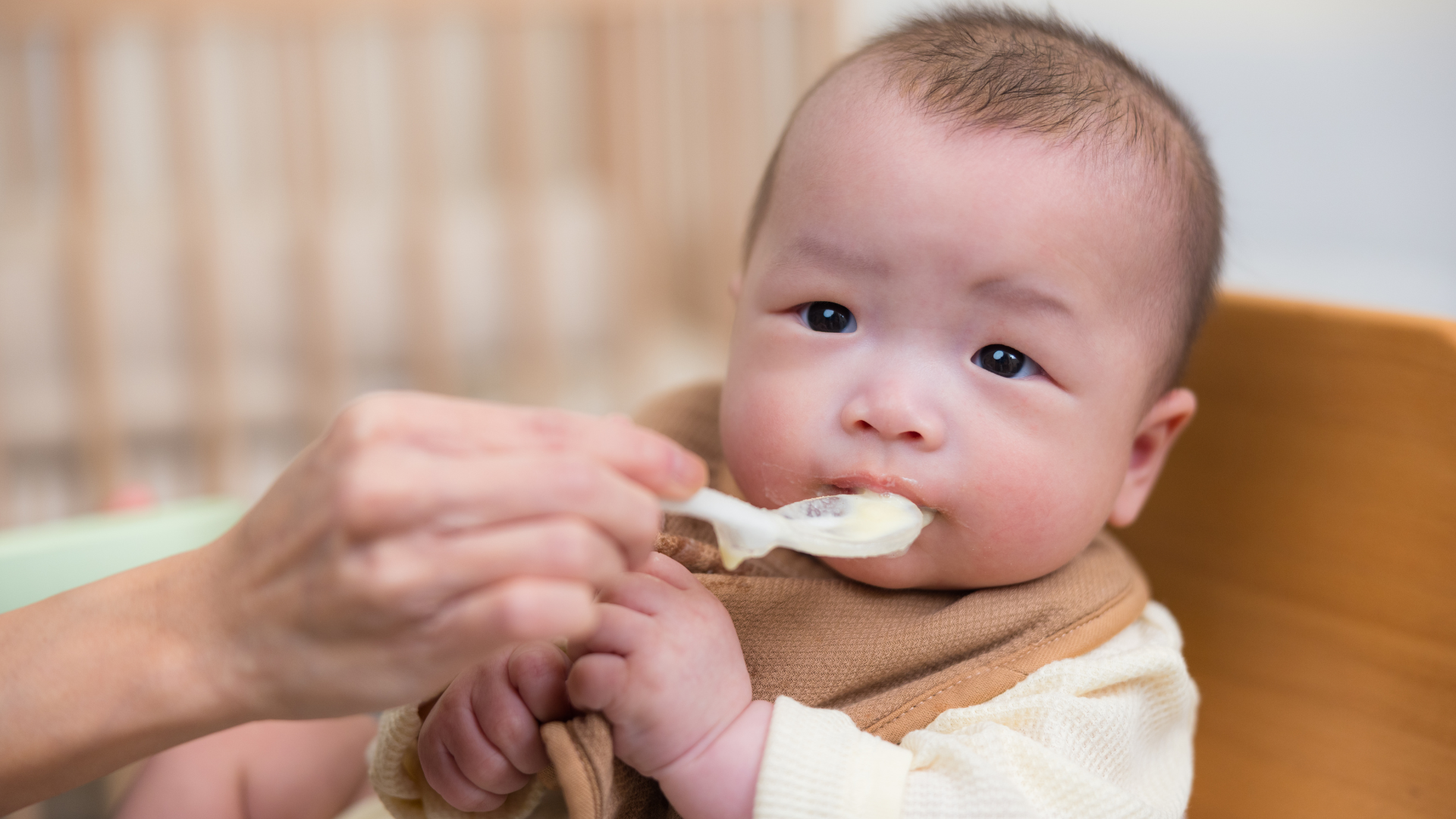 Bé khoảng 10 tháng tuổi trở lên có thể bắt đầu ăn mực với lượng nhỏ