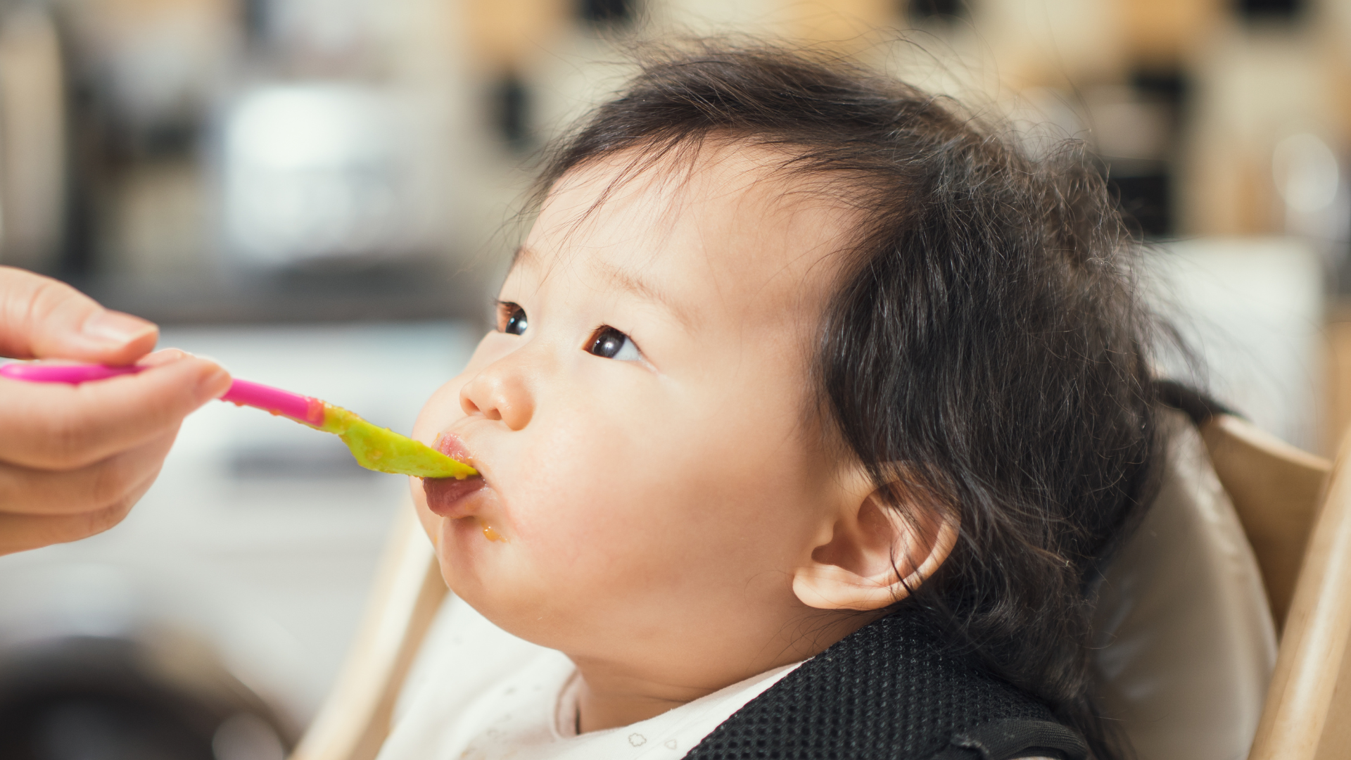 Chỉ cho bé dùng cháo óc heo dùng 1 - 2 lần/tuần, không ăn hằng ngày