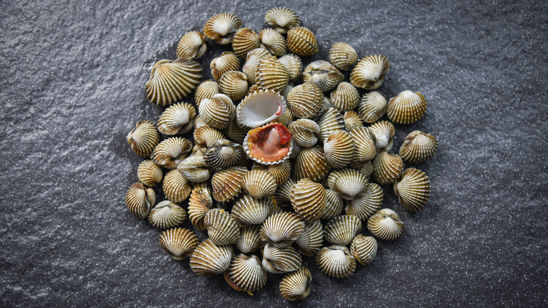 Sò huyết cung cấp nhiều vi chất quan trọng giúp duy trì hoạt động của cơ thể