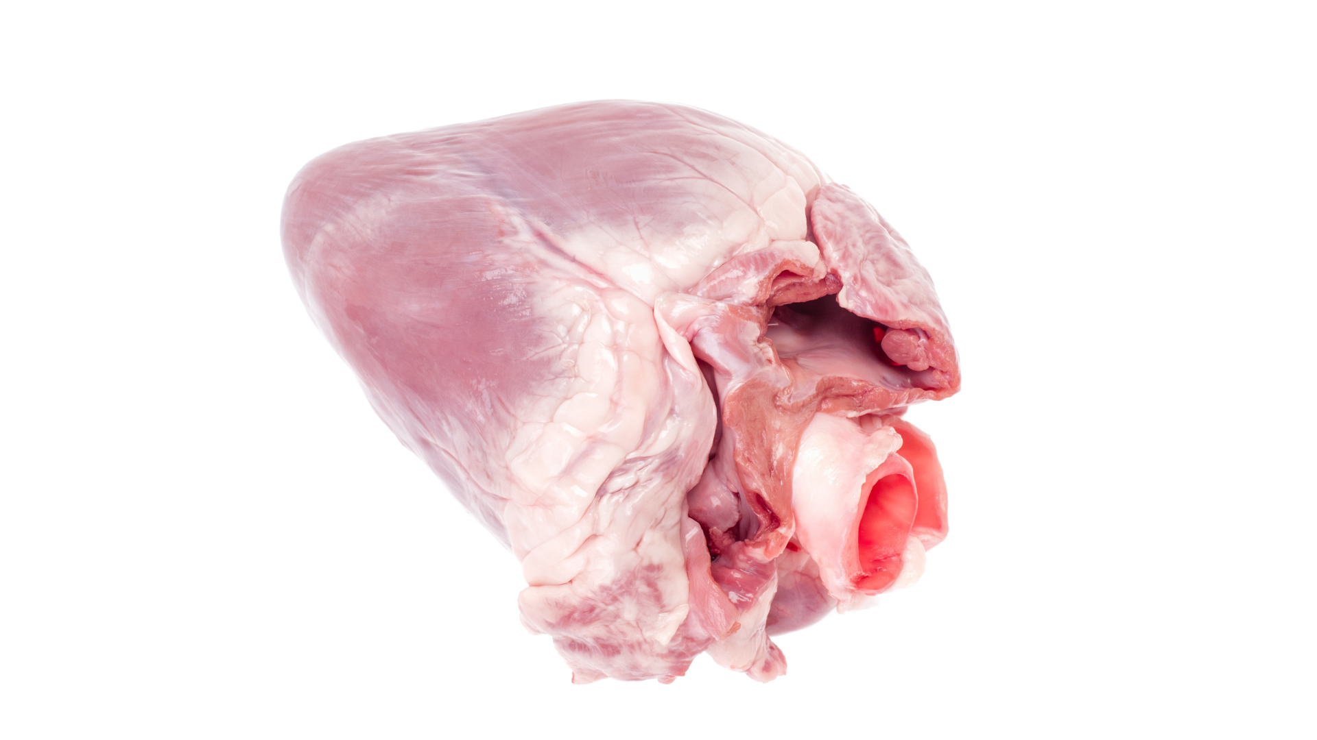 Tim heo chứa nhiều dưỡng chất quan trọng cho bé