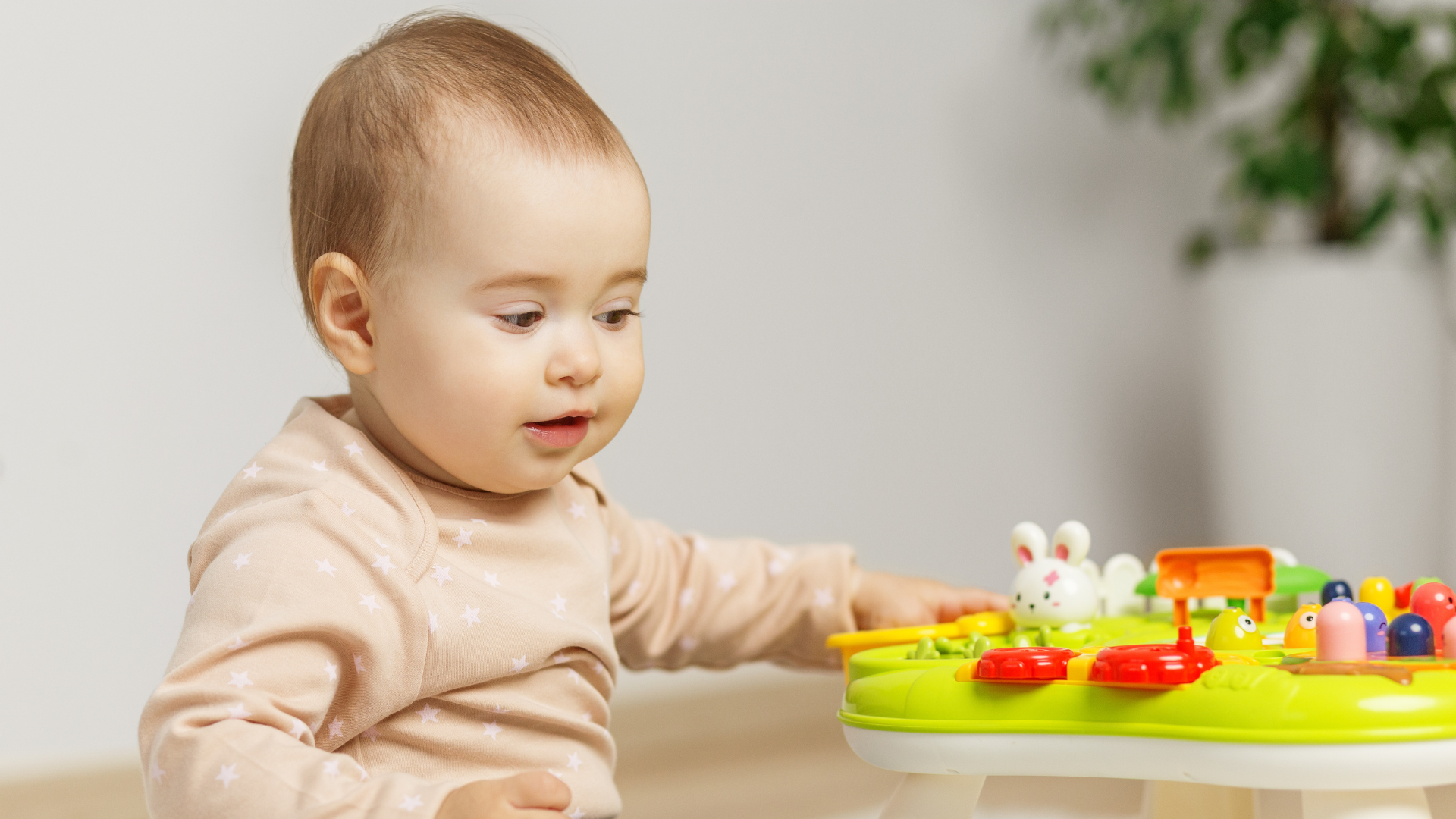 Tổ yến chứa nhiều dưỡng chất giúp hỗ trợ sự phát triển trí não của bé