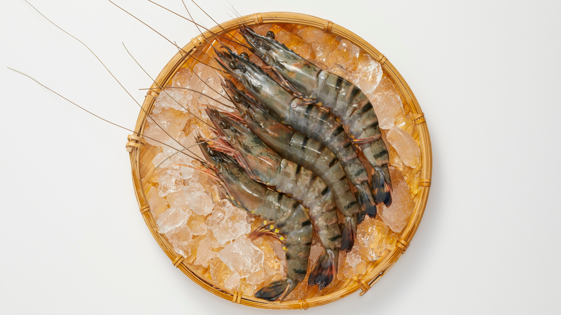 Tôm chứa nhiều dưỡng chất quan trọng cho bé