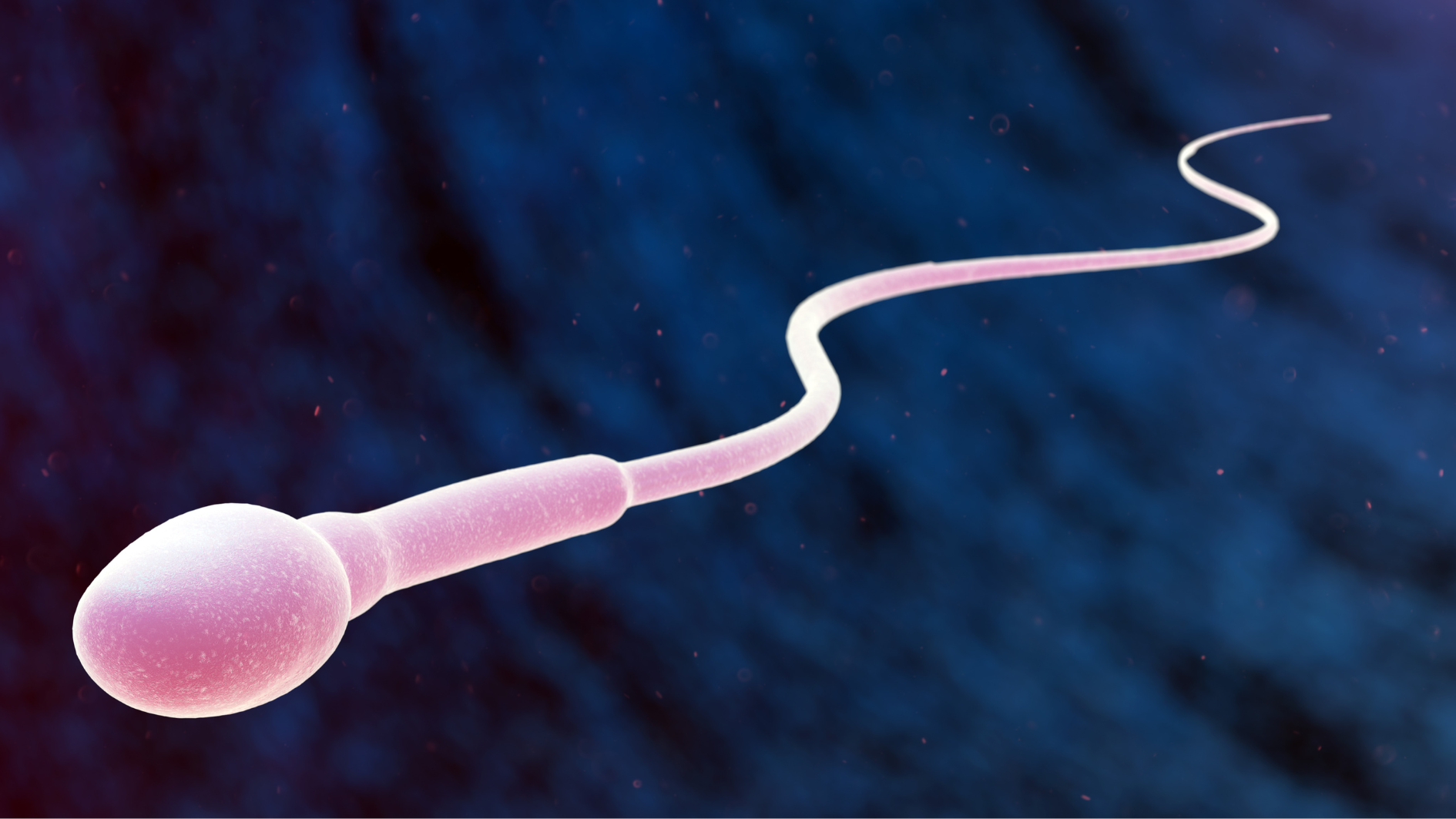 chat-luong-tinh-trung-giam-nguyen-nhan-dau-hieu-va-cach-dieu-tri (1).png