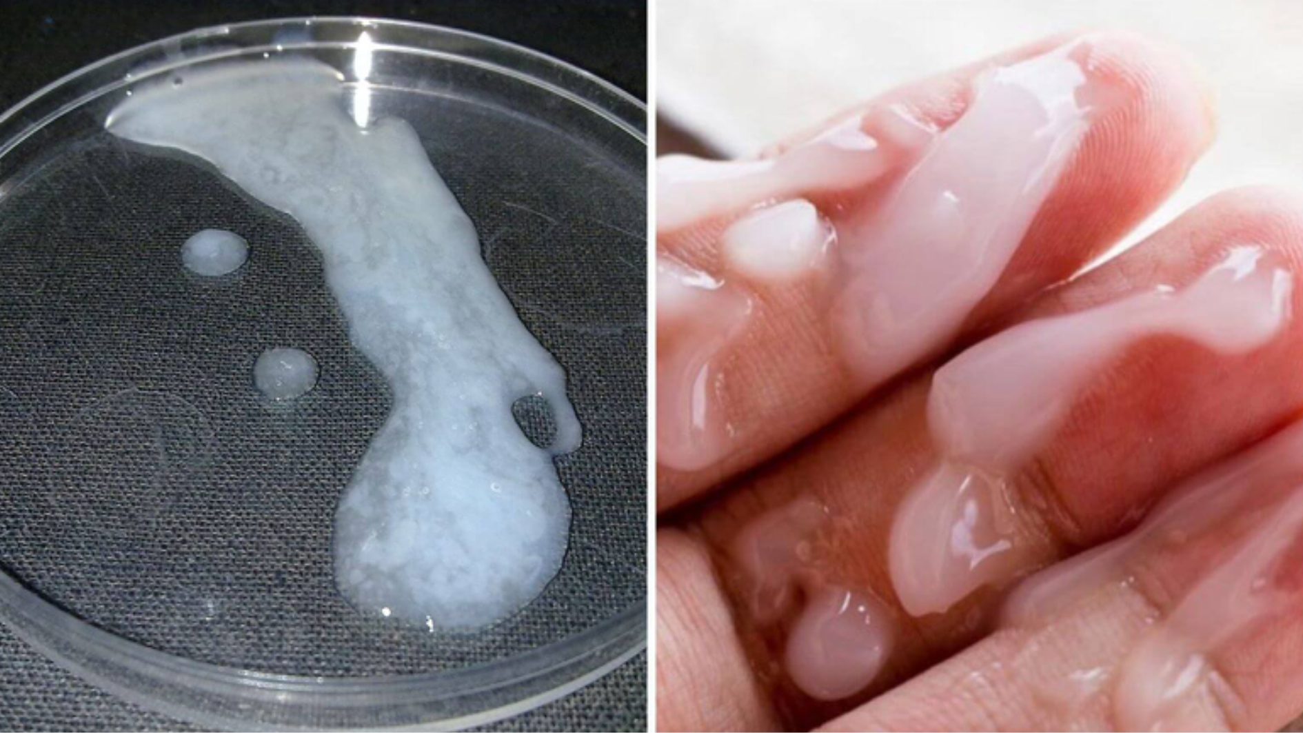 chat-luong-tinh-trung-giam-nguyen-nhan-dau-hieu-va-cach-dieu-tri (2).png