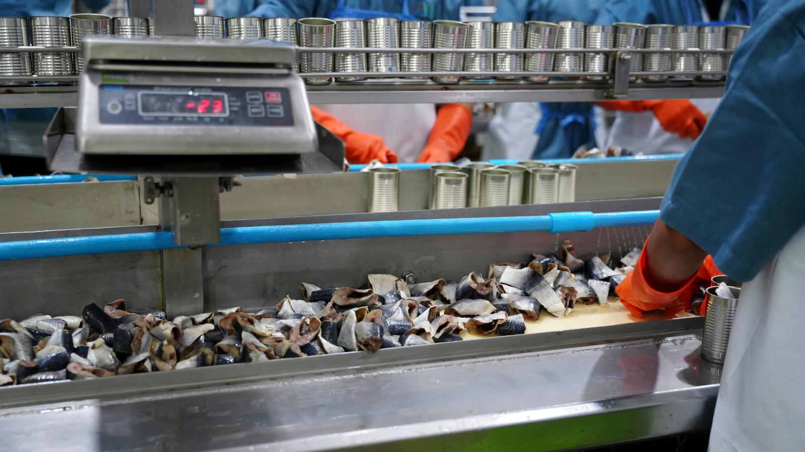 Chế biến hải sản dạng cháo giúp người bệnh dễ nuốt và tránh tổn thương họng