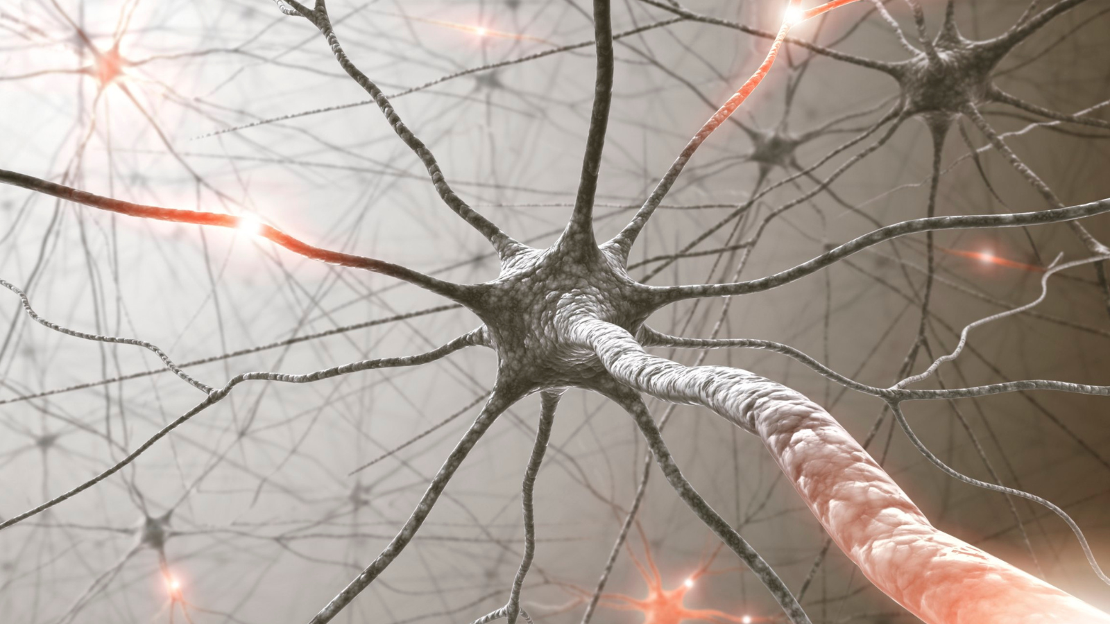 Vị trí khối u nằm ở vùng góc cầu tiểu não, một không gian giải phẫu chật hẹp