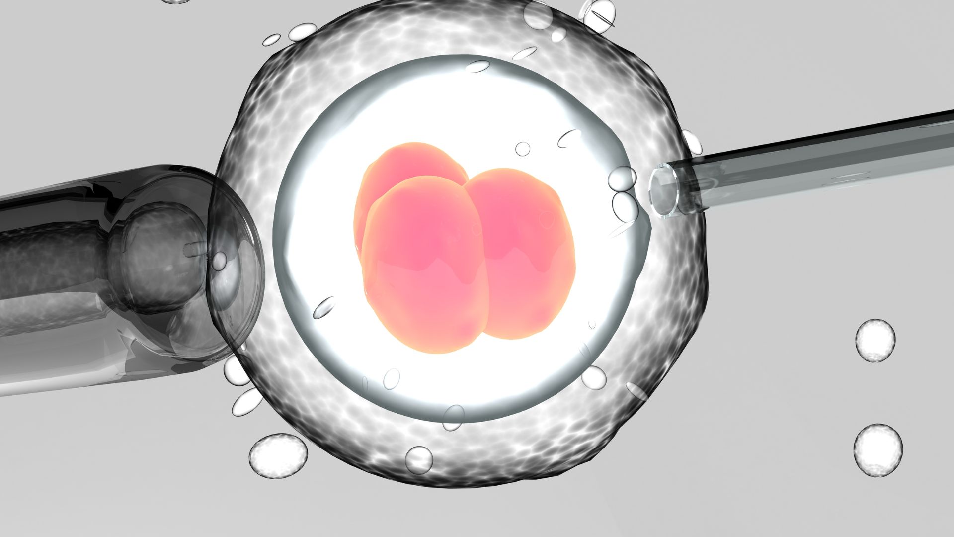 Số phôi chuyển ảnh hưởng trực tiếp đến chi phí thụ tinh nhân tạo
