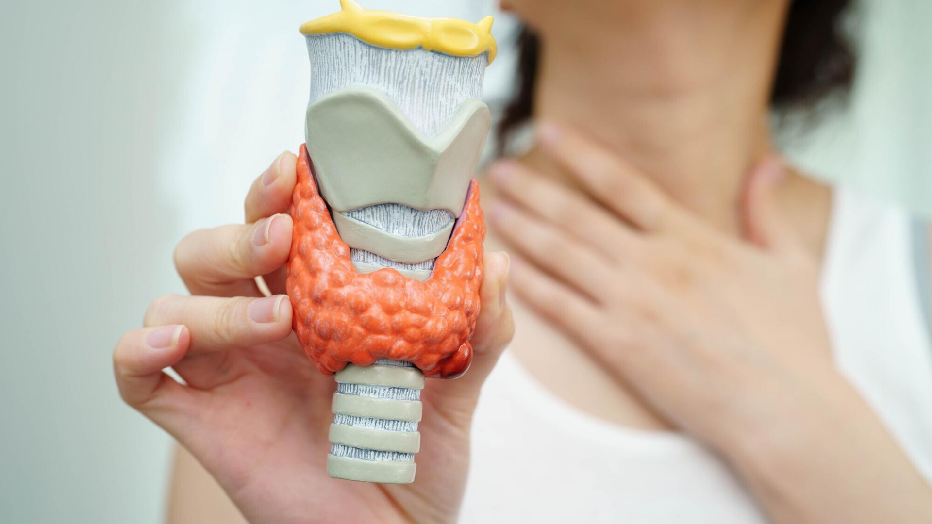 Chỉ số Anti TG chính là nồng độ kháng thể chống lại thyroglobulin, một loại protein quan trọng mà tuyến giáp sản xuất