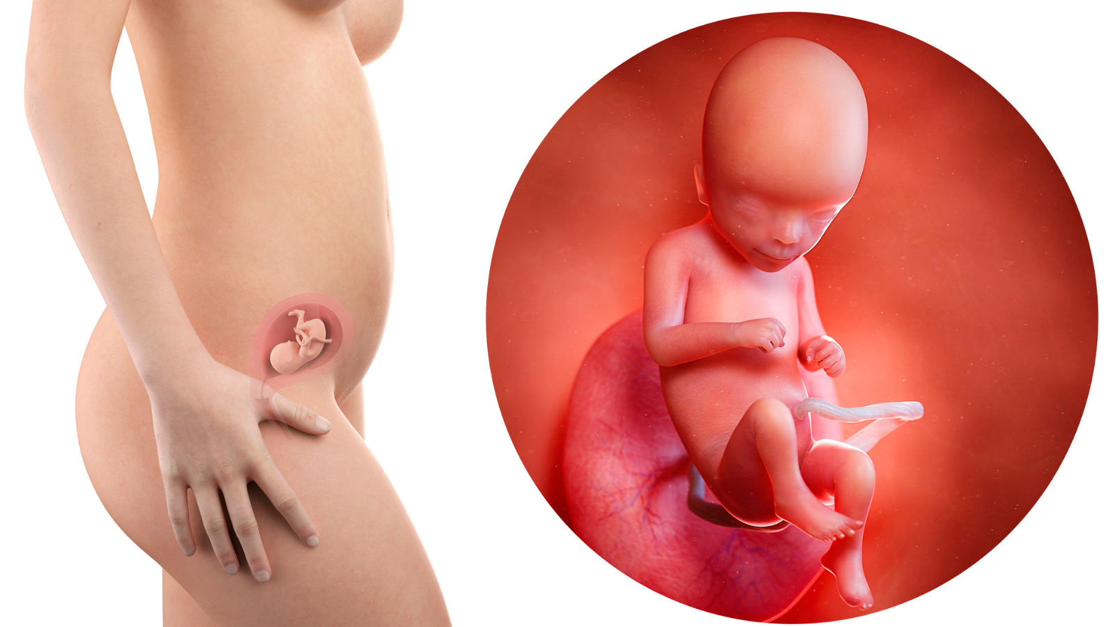 Nếu mức beta HCG tăng quá cao so với tuổi thai có thể là dấu hiệu của thai trứng hoặc đa thai