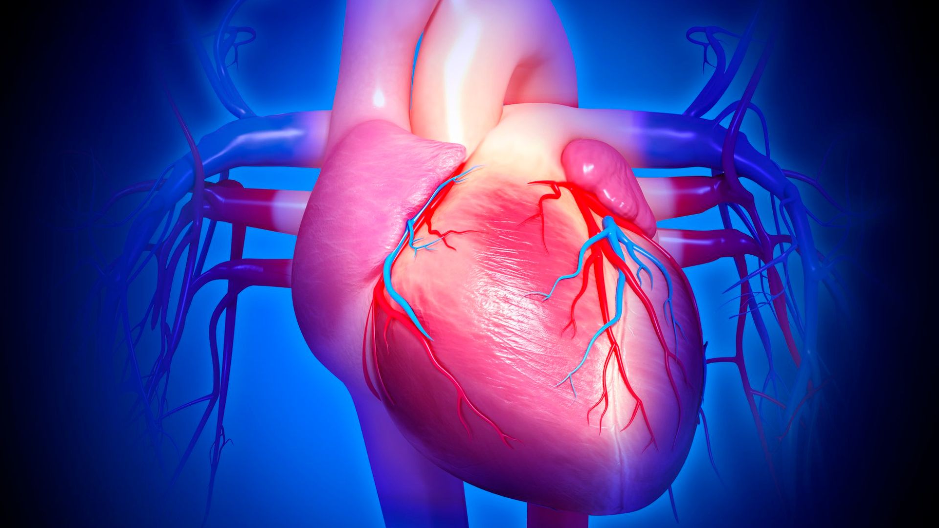 Chỉ số EF trong siêu âm tim là tỷ lệ % lượng máu được bơm ra khỏi tâm thất trái/nhịp