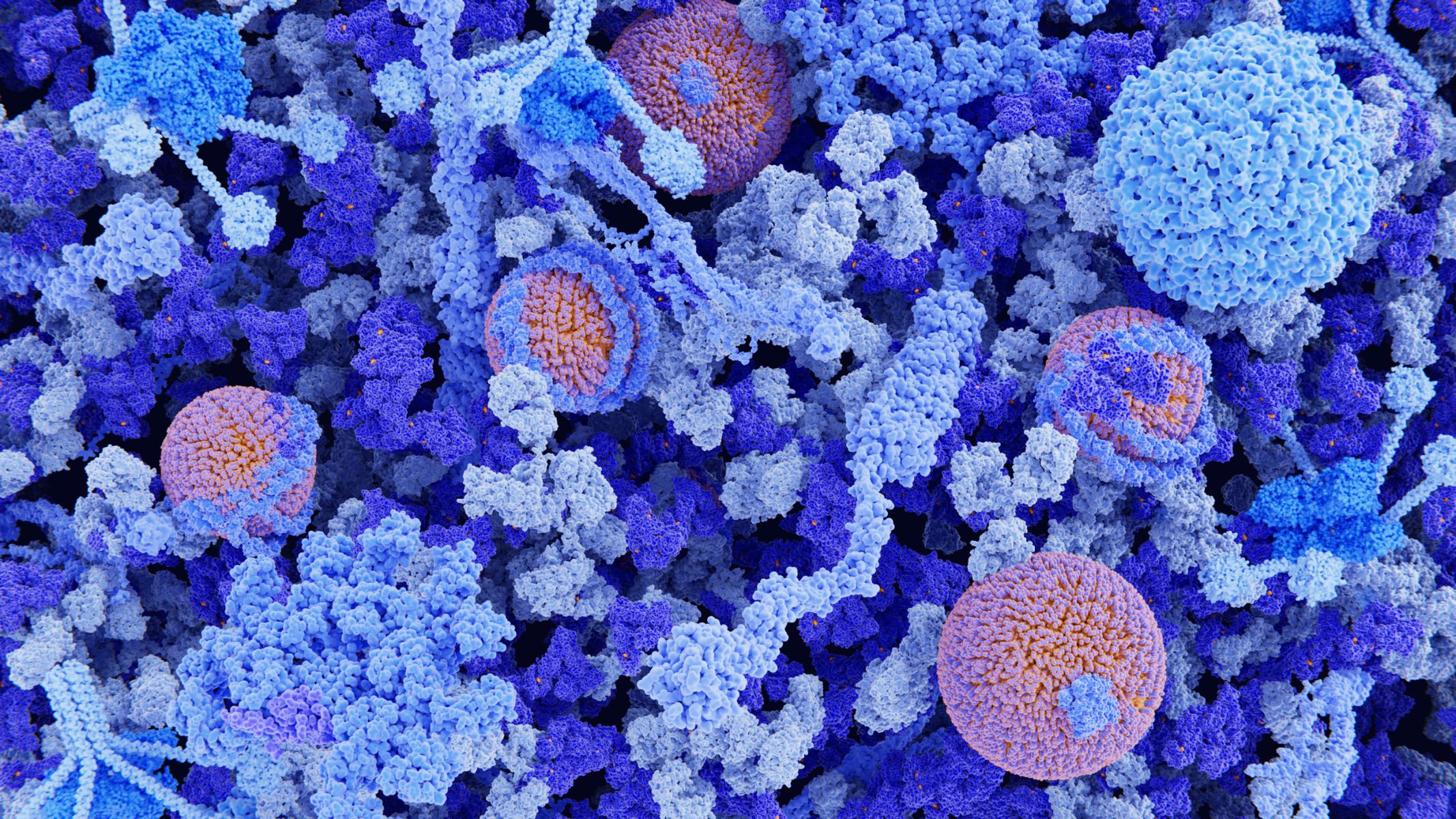 Chỉ số Globulin miễn dịch (Immunoglobulin - Ig) là thông số xét nghiệm phản ánh nồng độ các kháng thể đặc hiệu trong huyết thanh