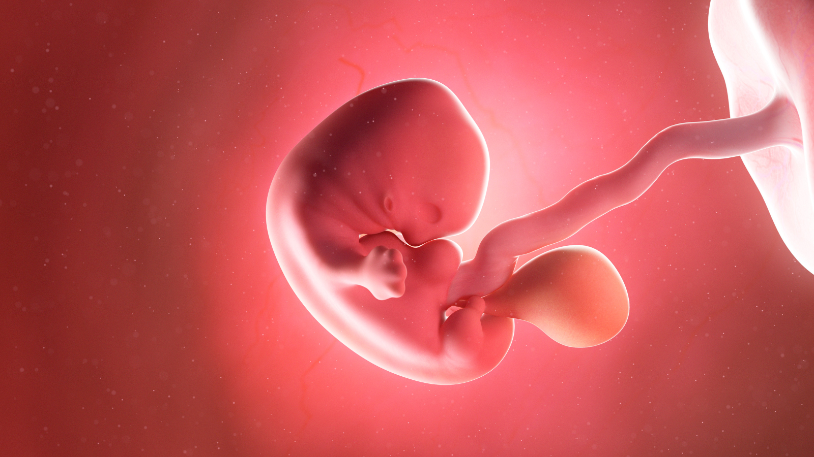 Chỉ số progesterone trong IVF quan trọng như thế nào? 2