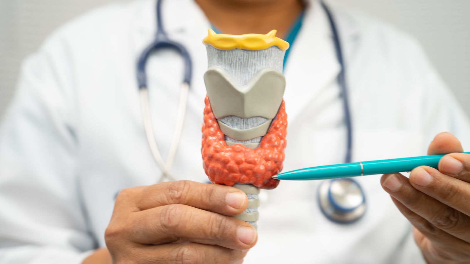 Có nhiều nguyên nhân khiến chỉ số TSH tăng cao