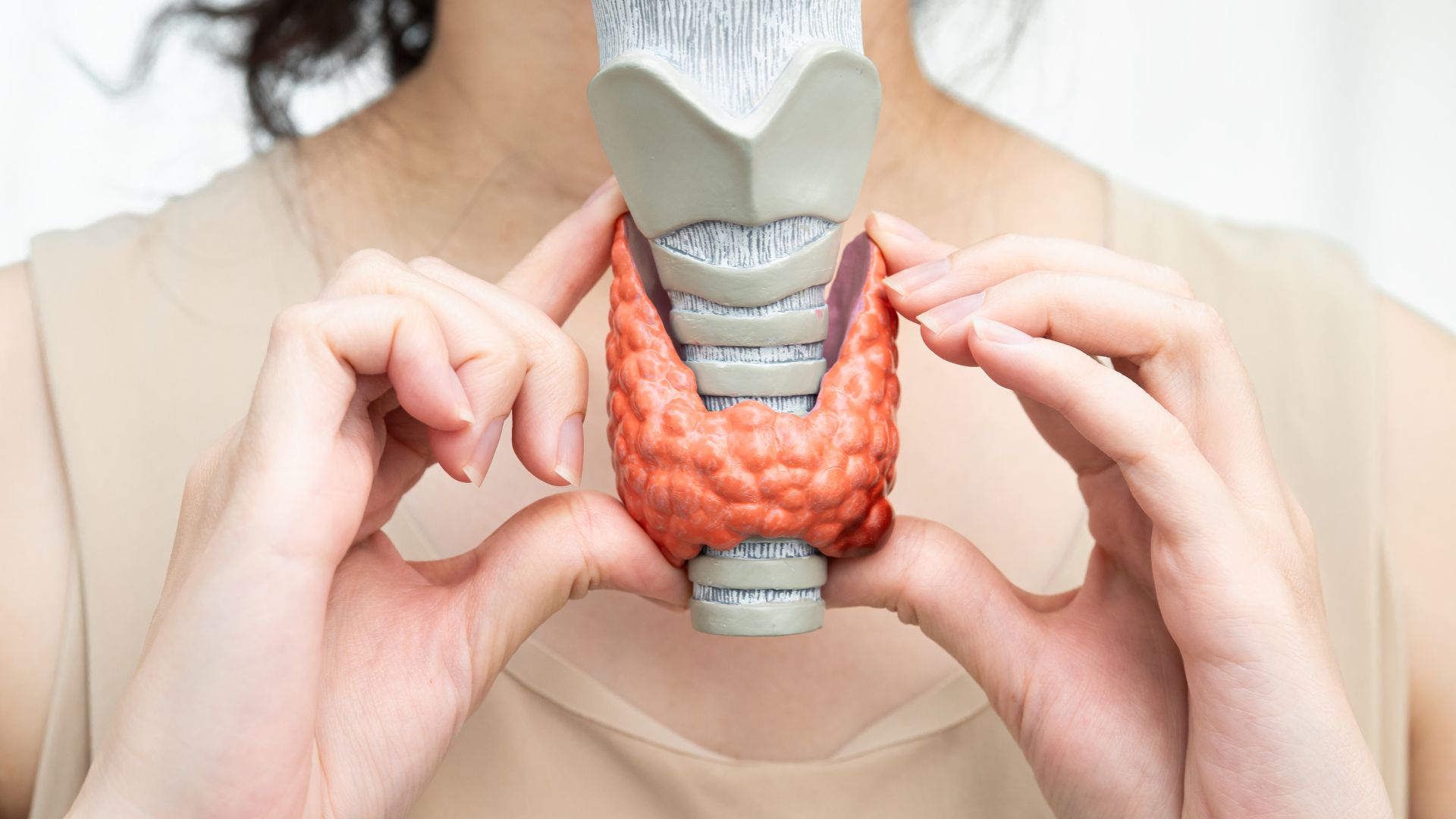 Các chỉ số xét nghiệm tuyến giáp giúp đánh giá chức năng của tuyến giáp