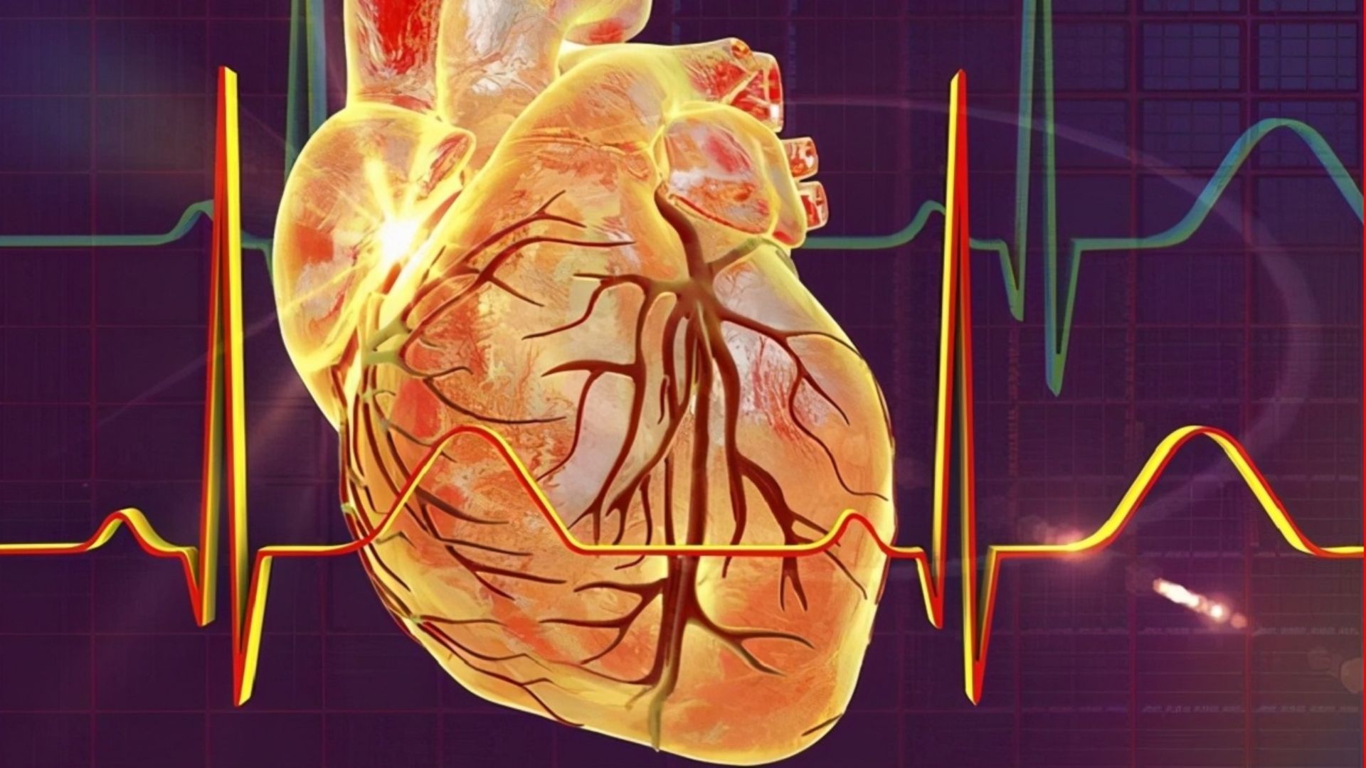 Tâm thất co là một giai đoạn trong chu kỳ hoạt động của tim