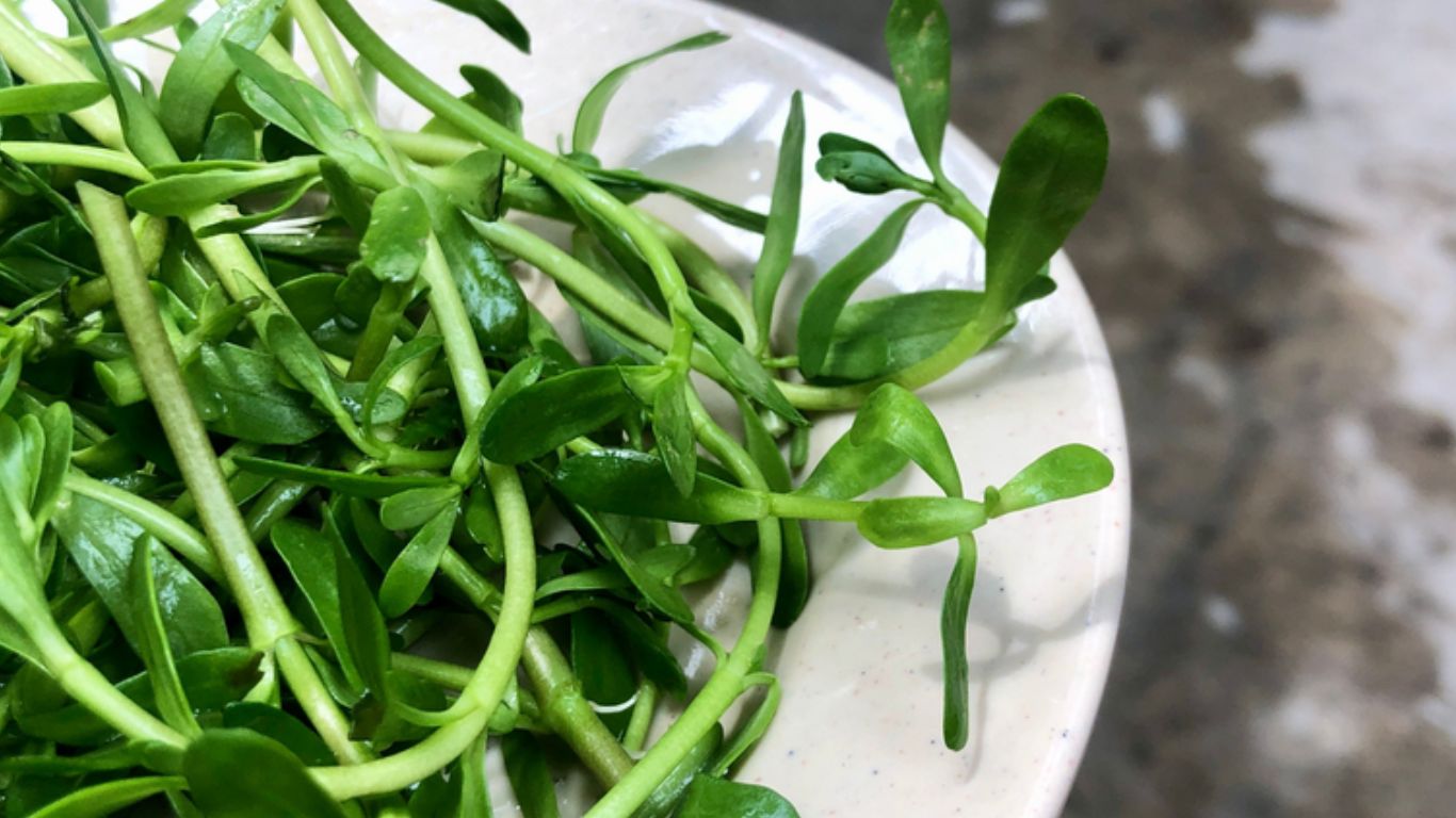 co-bau-an-rau-dang-duoc-khong 2