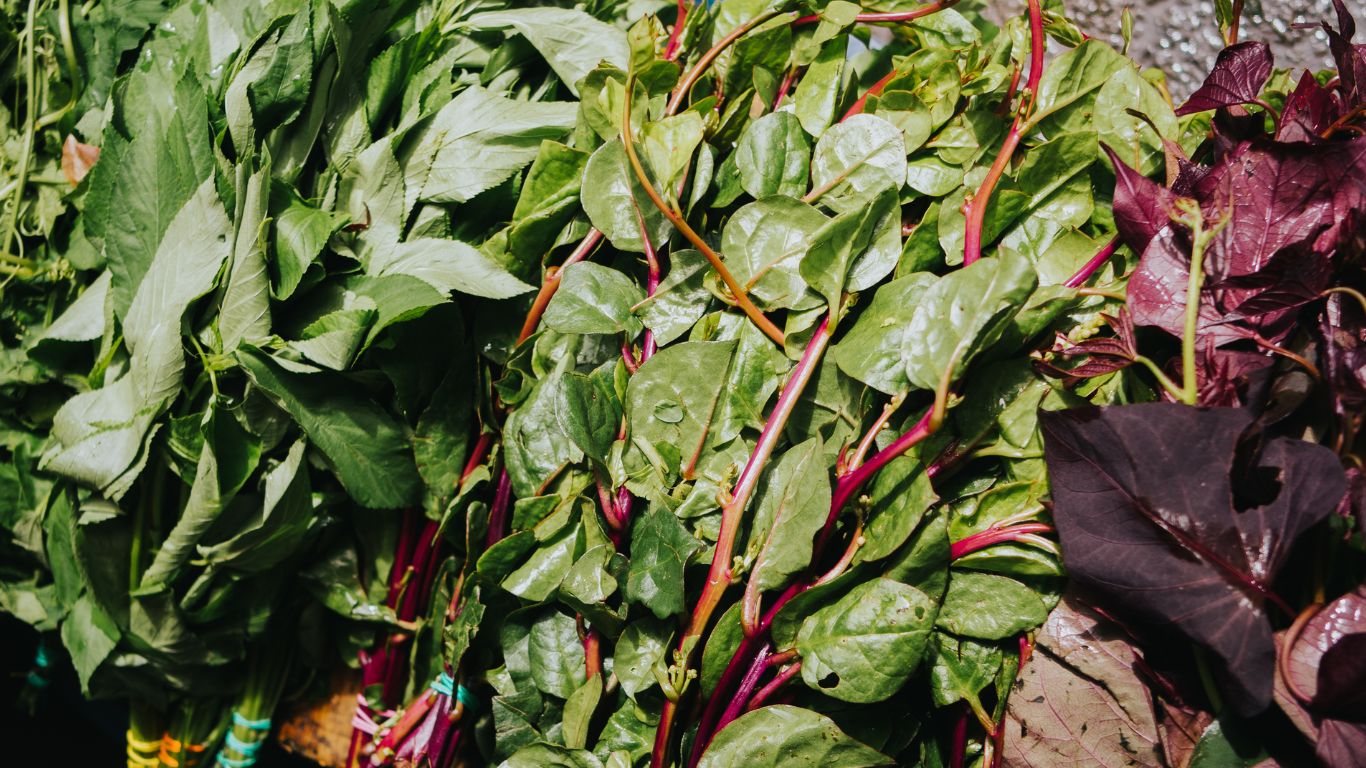 co-bau-an-rau-lang-duoc-khong 4