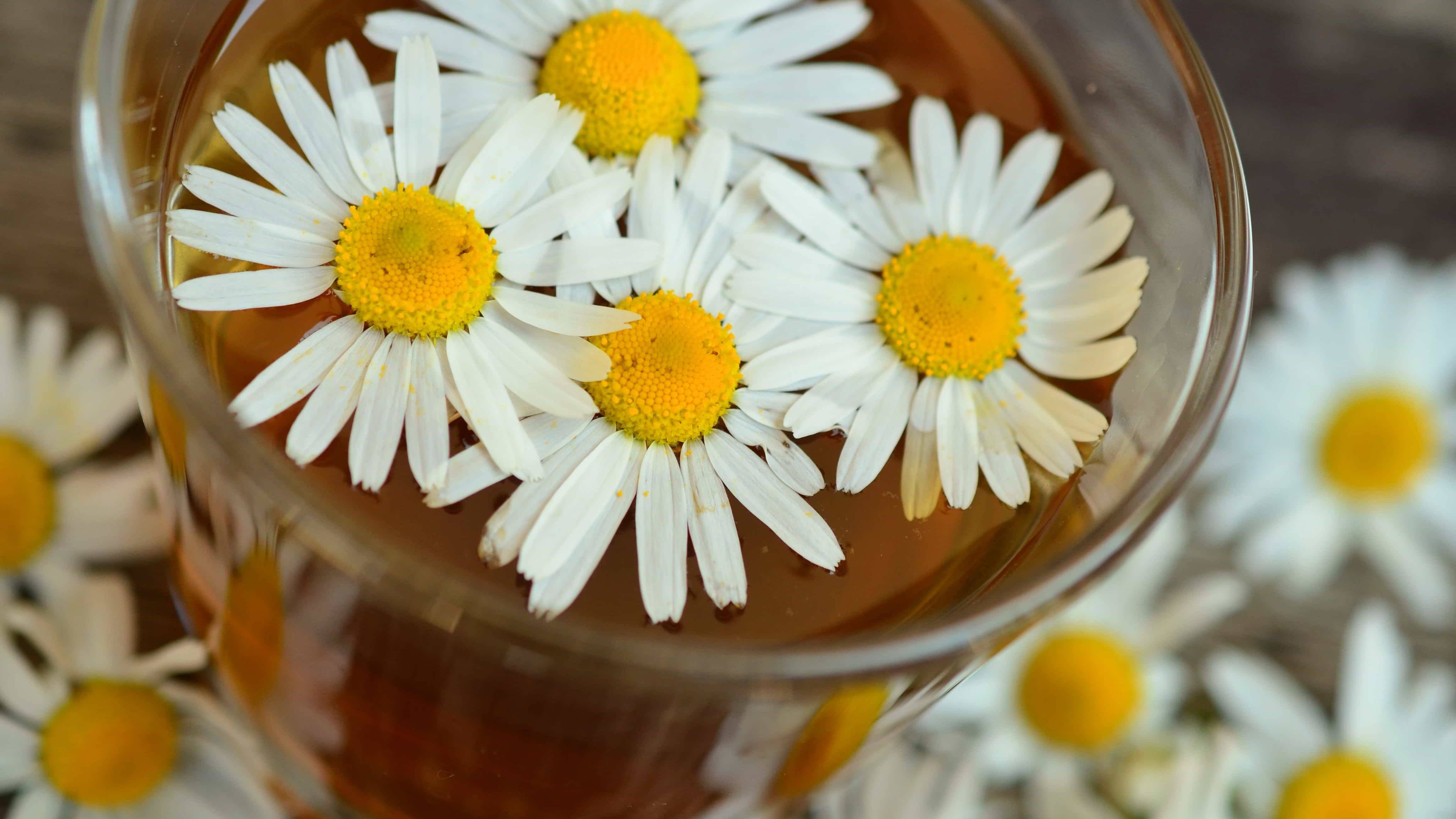 Có cách hết nhiệt miệng trong 1 đêm hay không? Khi nào cần gặp bác sĩ? 2