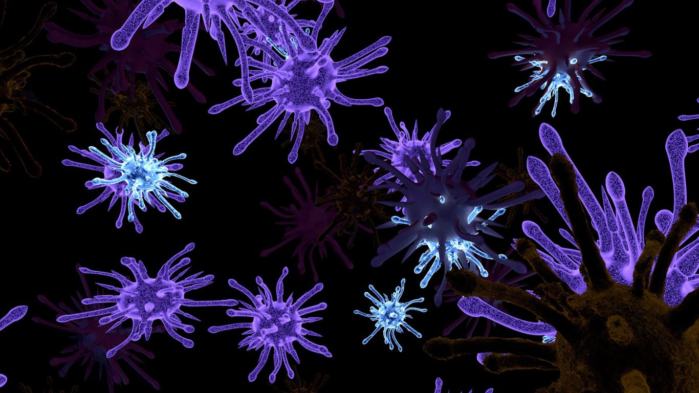 co-che-mien-dich-giup-bao-ve-co-the-nhung-dieu-nen-biet 1