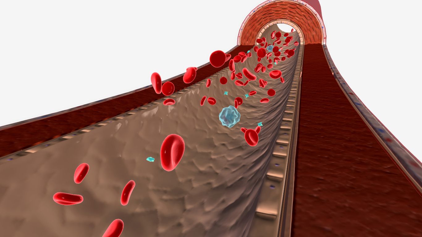 co-che-mien-dich-giup-bao-ve-co-the-nhung-dieu-nen-biet 2