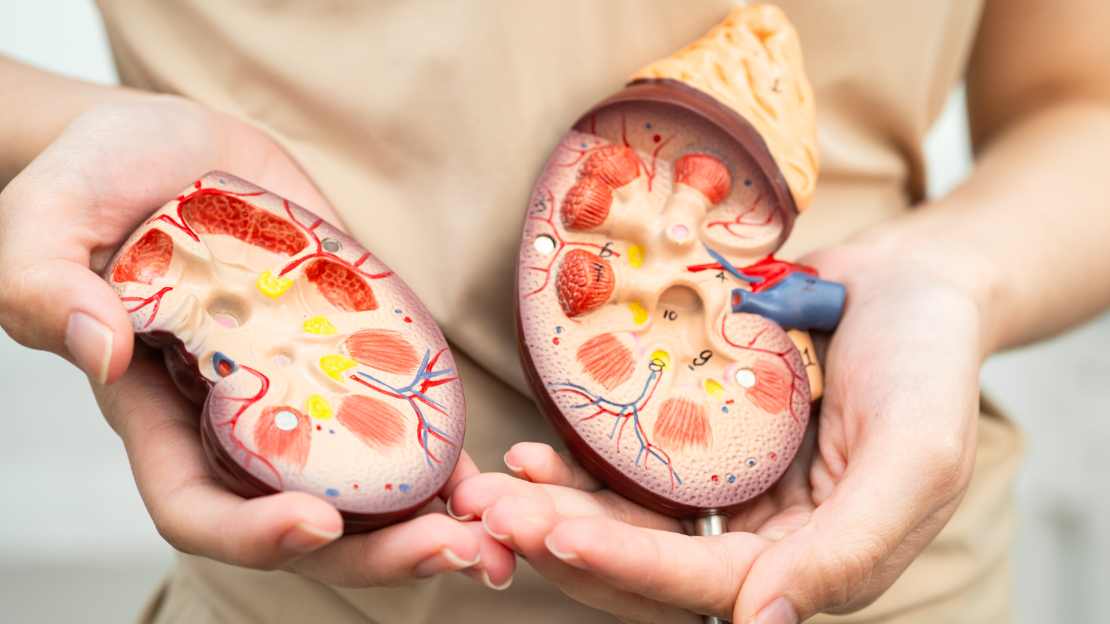 Người suy giảm chức năng thận nên thận trọng