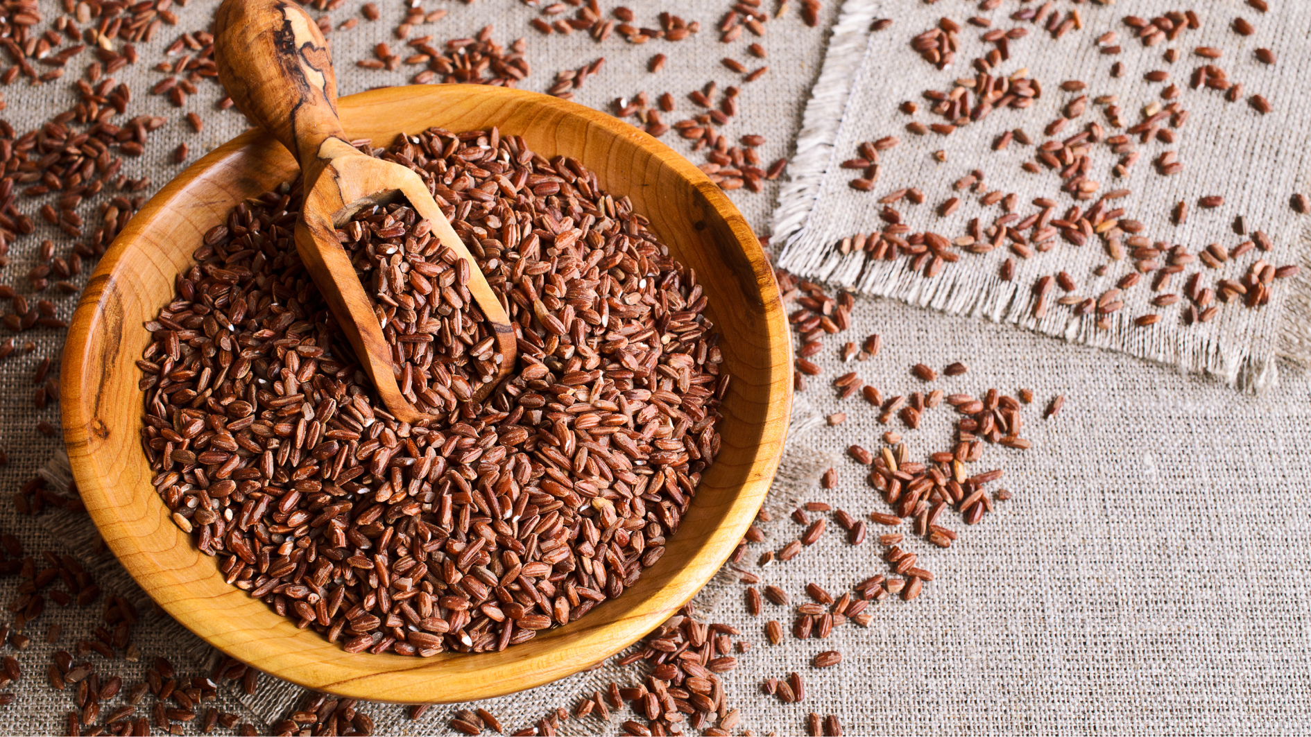 Nên tham khảo chuyên gia dinh dưỡng về cách dùng và tần suất dùng gạo lứt phù hợp