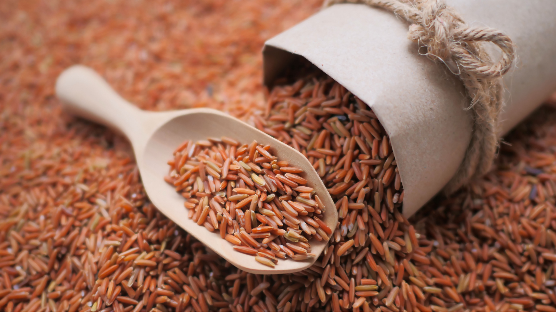 Gạo lứt chứa nhiều chất dinh dưỡng tốt cho sức khỏe