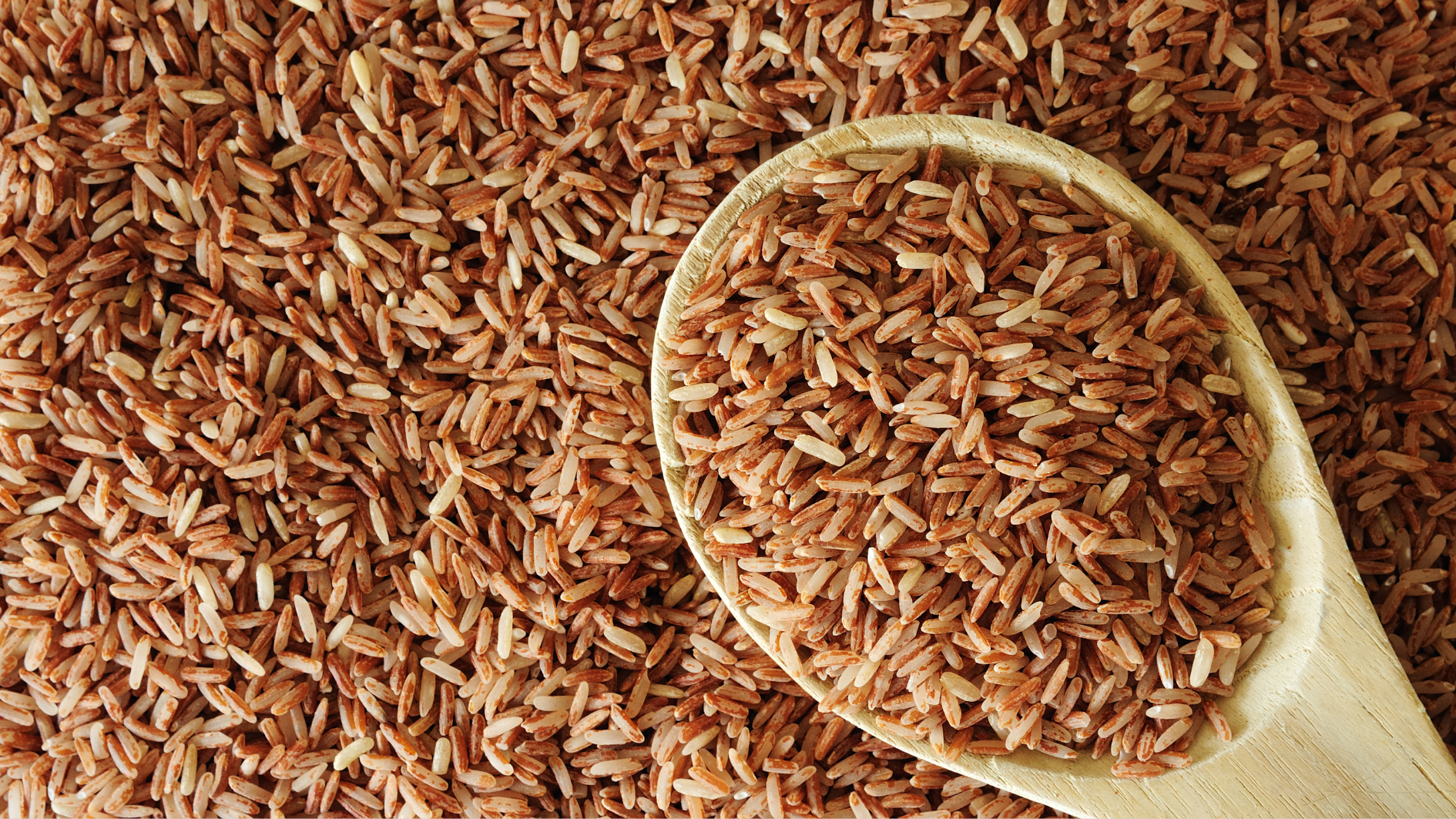 Gạo lứt không phù hợp với người có hệ tiêu hóa kém