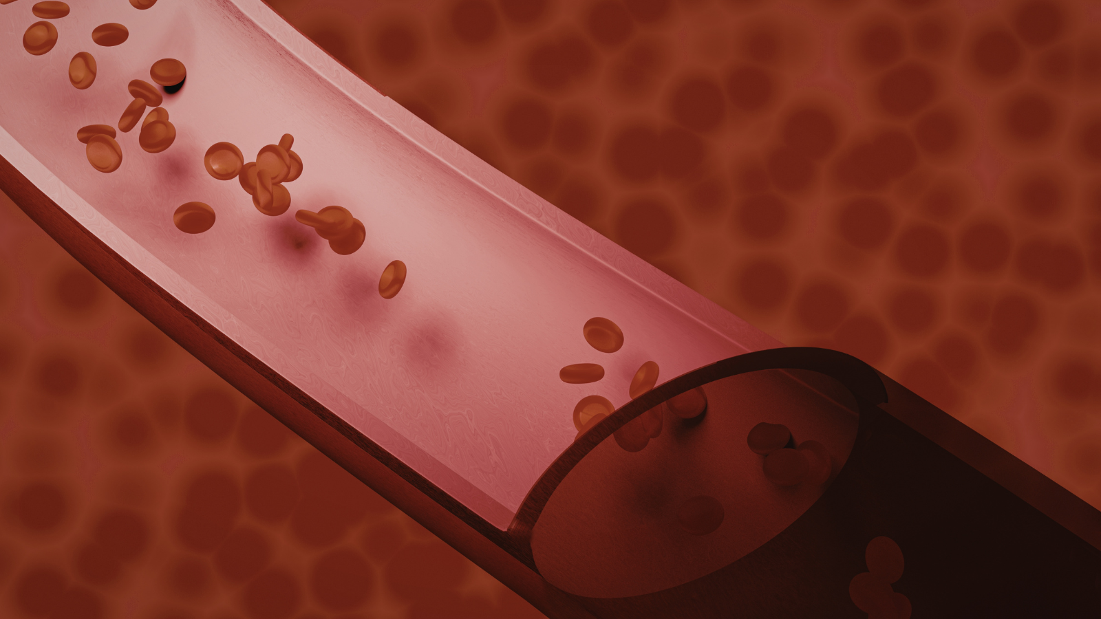 Tỏi sở hữu đặc tính làm loãng máu tự nhiên