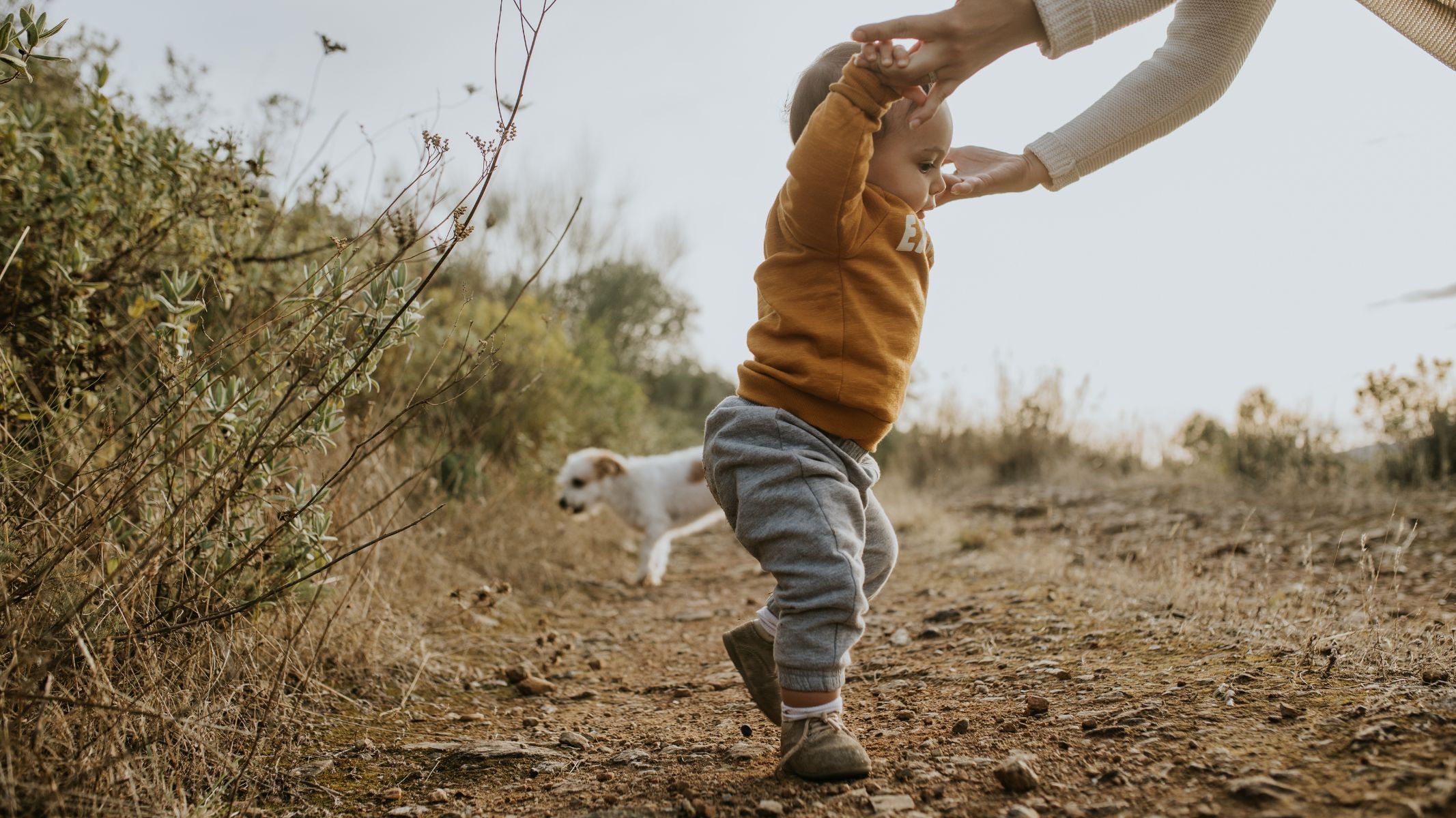 Cha mẹ nên thường xuyên quan sát và hỗ trợ bé trong quá trình bé tập đi
