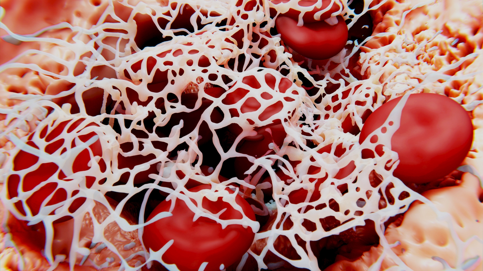 Người mắc rối loạn đông máu là một trong những đối tượng không nên dùng đông trùng hạ thảo