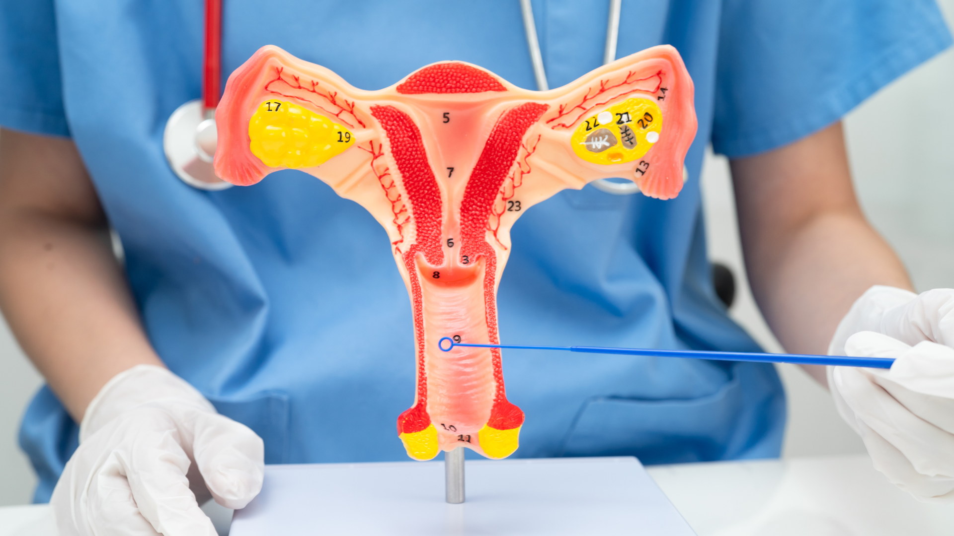 Giải đáp các thắc mắc xoay quanh việc đào thải HPV