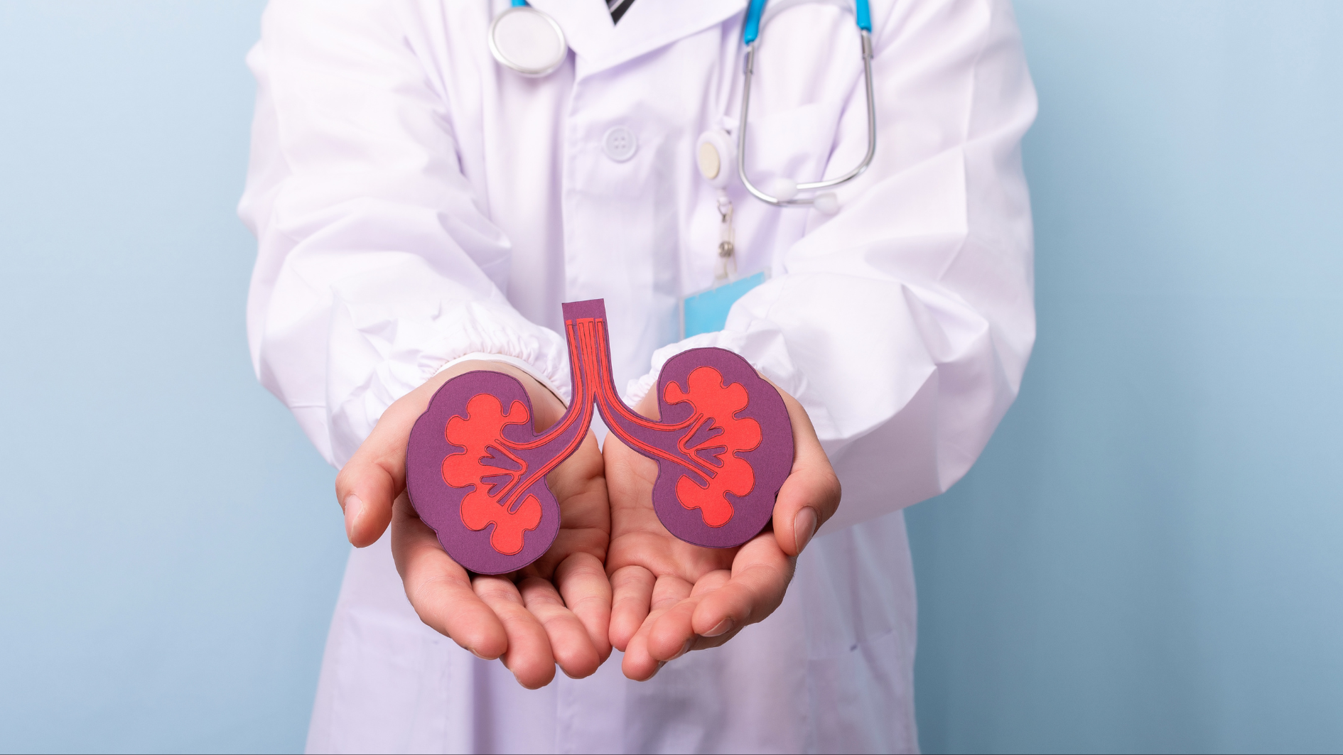 Nhịn tiểu quá lâu có thể là nguyên nhân gián tiếp gây suy thận