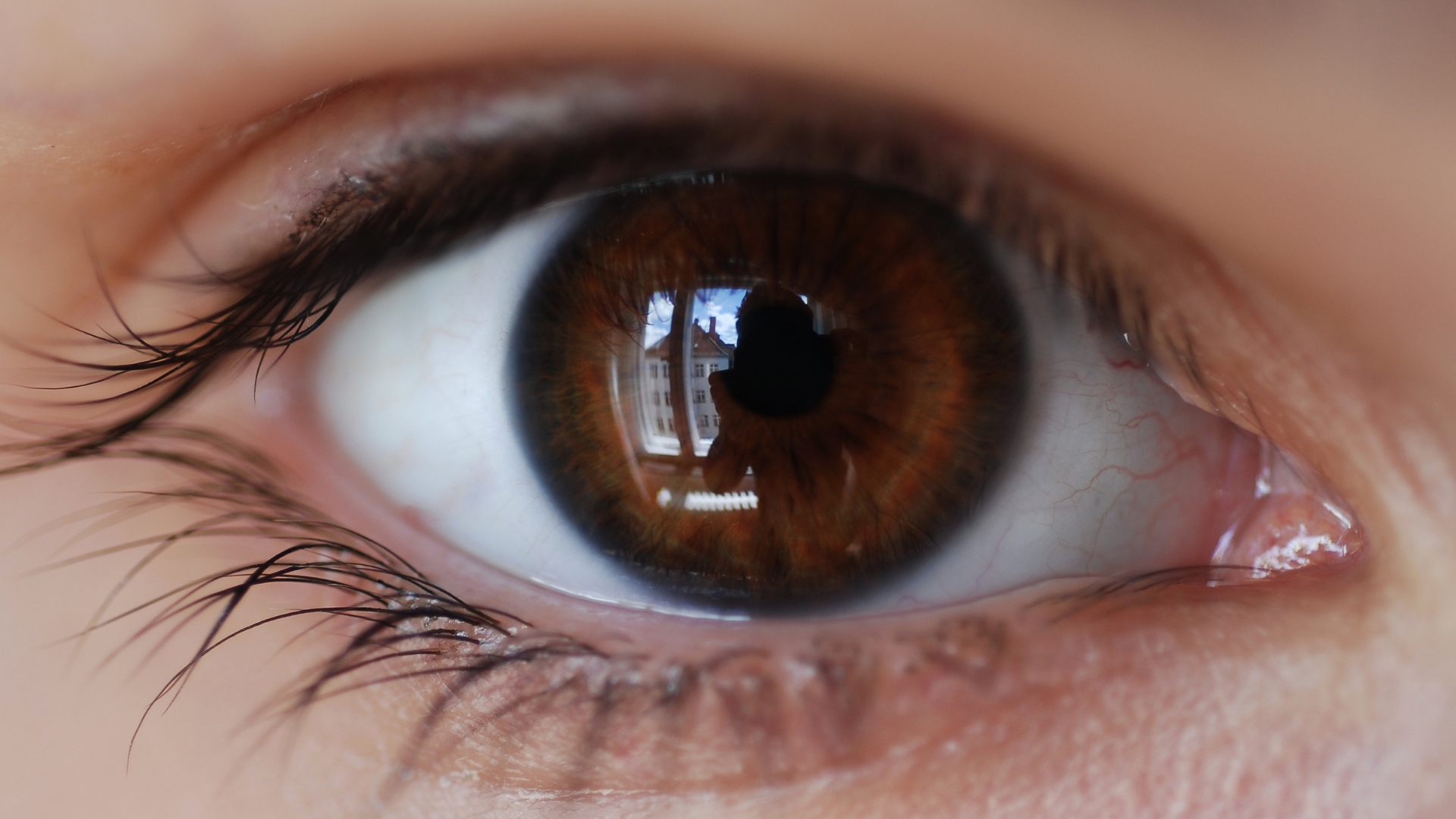 Chức năng chính của con ngươi trong đôi mắt là điều chỉnh lượng ánh sáng đi vào trong mắt, đảm bảo võng mạc nhận được ánh sáng phù hợp để tạo ảnh rõ nét