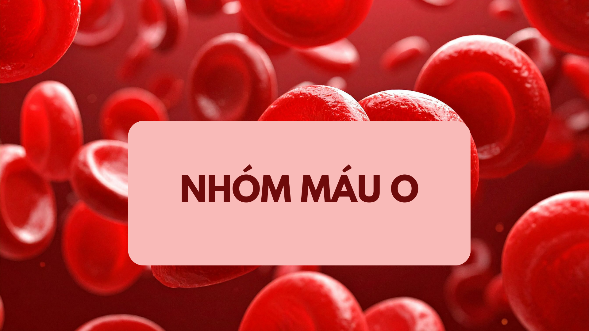 Để con sinh ra có nhóm máu O, cả bố và mẹ đều phải mang gen O trong bộ gen di truyền của mình