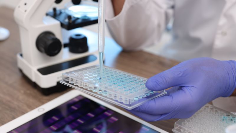 Quá trình nuôi cấy tế bào trong môi trường nhân tạo dưới điều kiện vô trùng của phòng thí nghiệm