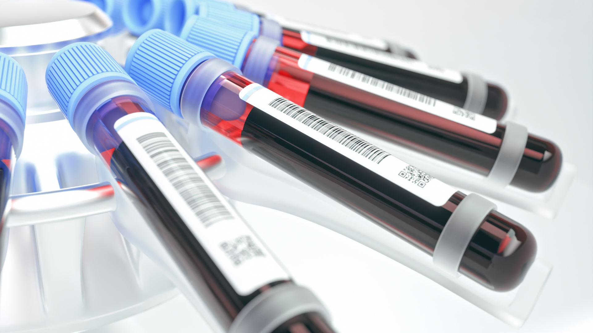 Xét nghiệm công thức bạch cầu giúp xác định số lượng của từng loại bạch cầu trong máu