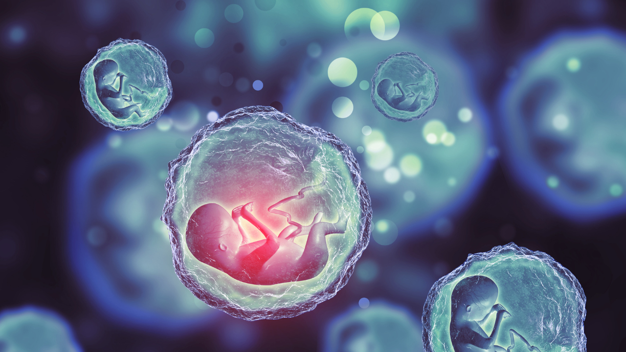 cum-b-co-anh-huong-den-thai-nhi-khong (1).png