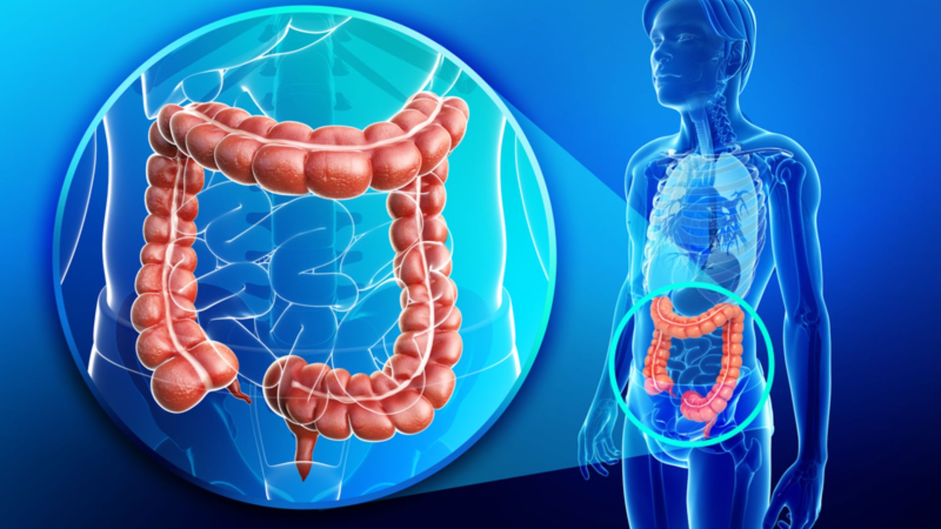 Cùng chuyên gia y tế giải đáp thắc mắc: Siêu âm có phát hiện ung thư đại tràng không? 2