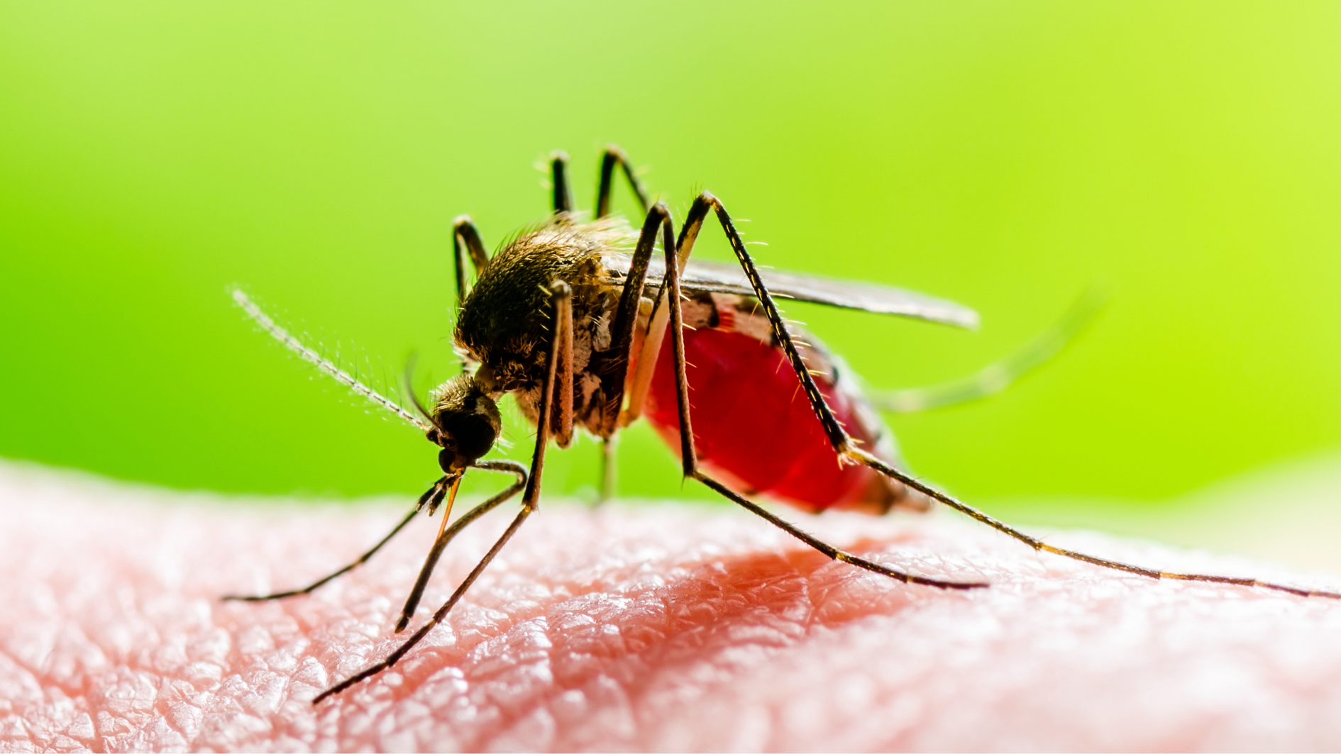 da-bi-sot-xuat-huyet-co-can-tiem-phong-khong (2).png