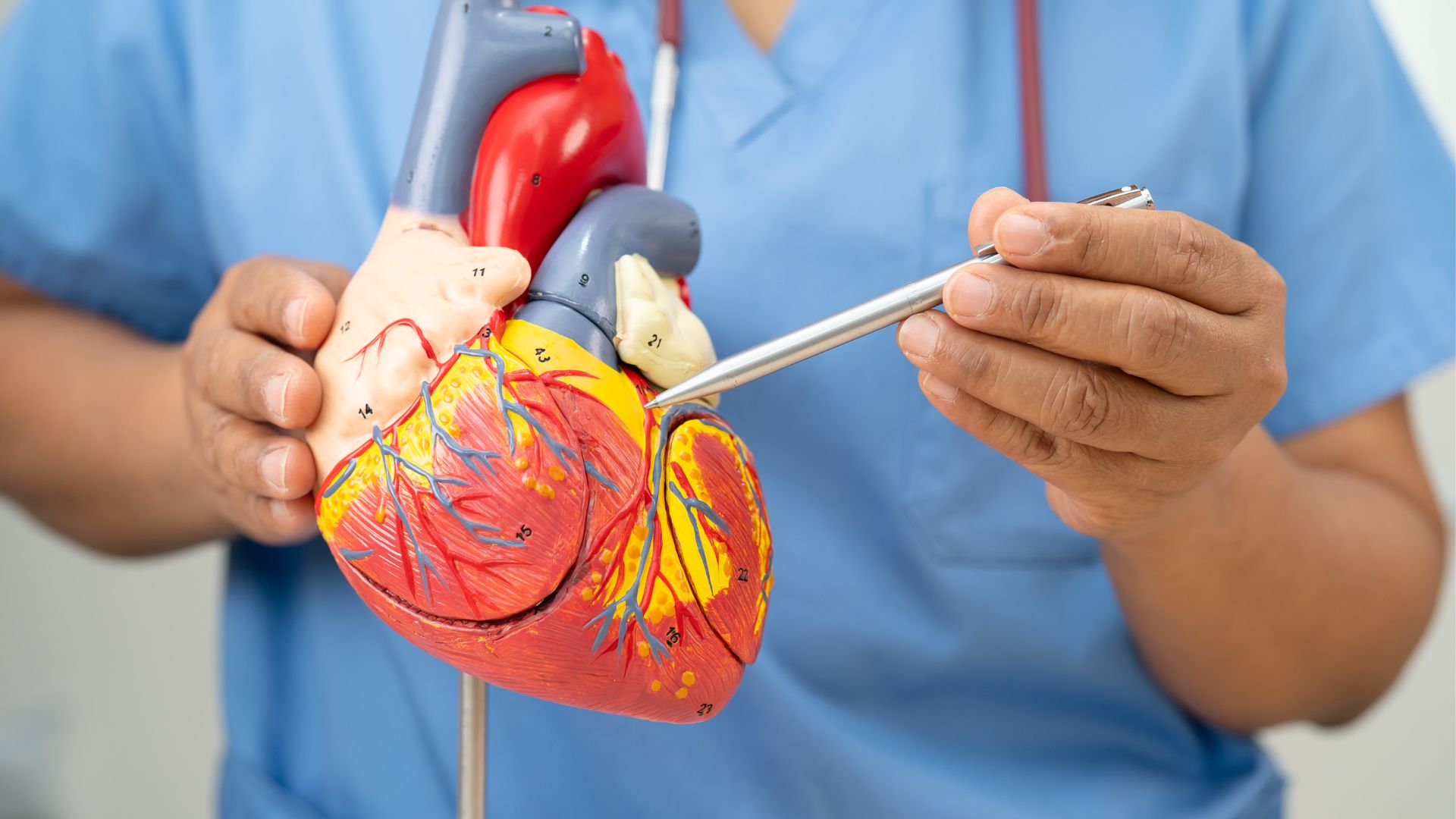 Bệnh đa hồng cầu có thể làm tăng nguy cơ mắc phải bệnh lý tim mạch