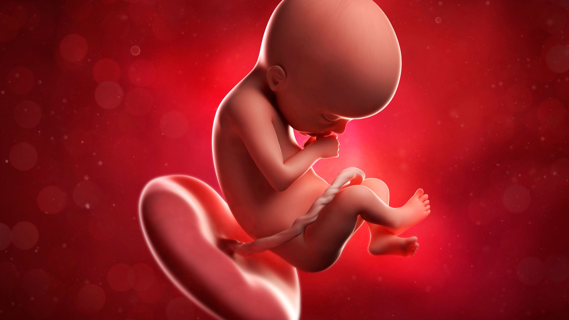 Các bất thường liên quan đến bánh nhau cũng có thể khiến mẹ gặp tình trạng đa ối ở tuần 36