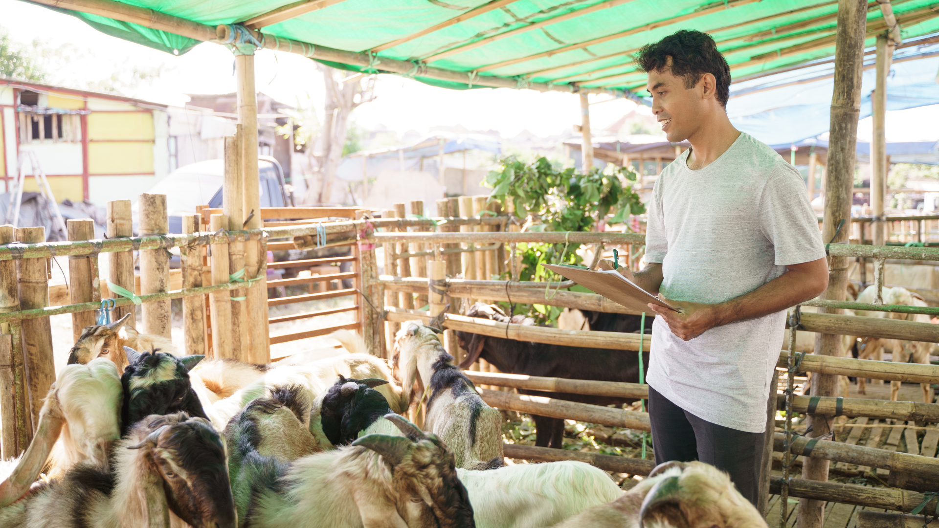 dac-diem-cua-virus-cum-d-va-phuong-thuc-lay-truyen 2.png