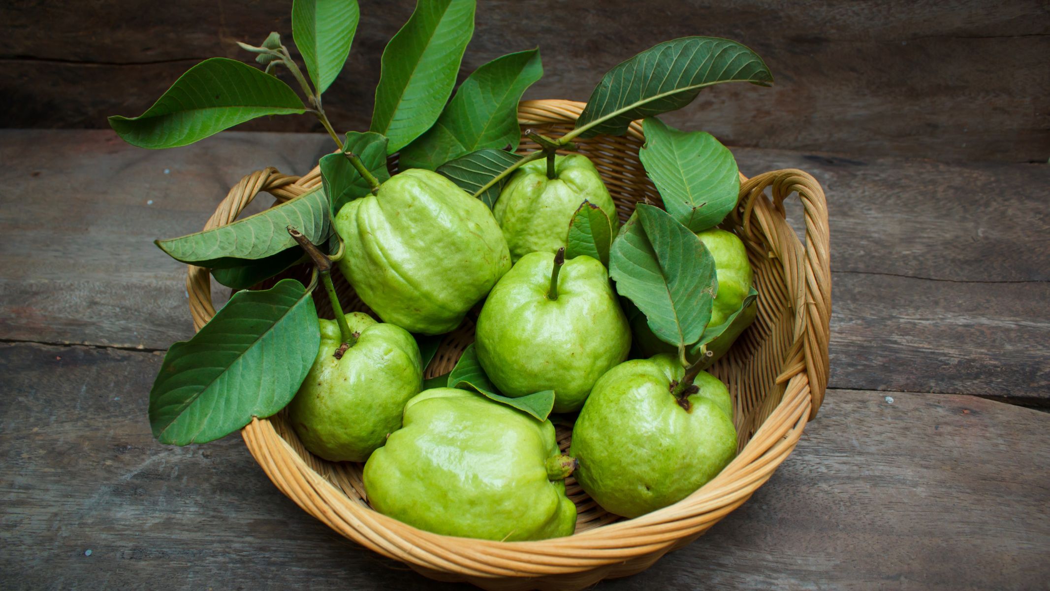 Ổi chứa nhiều chất xơ hòa tan giúp kéo dài cảm giác no, hạn chế cảm giác thèm ăn, từ đó giúp kiểm soát lượng calo nạp vào