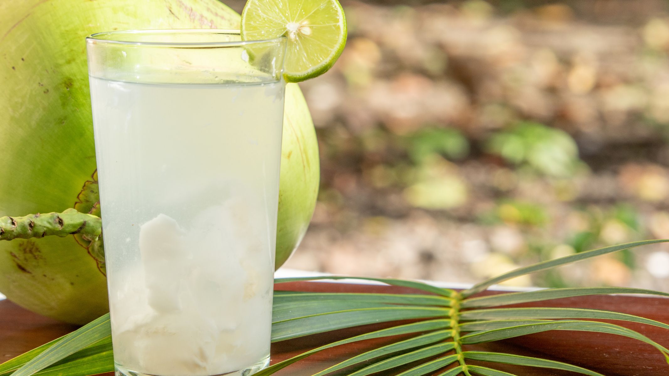 Nước dừa chứa các khoáng chất quan trọng như canxi, kali, magie, natri và photpho, giúp duy trì hoạt động ổn định của cơ thể