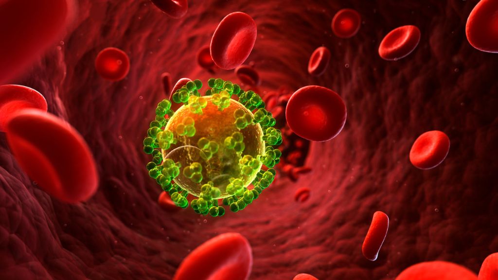 Dấu hiệu HIV và những thông tin liên quan về bệnh cần nắm! 1