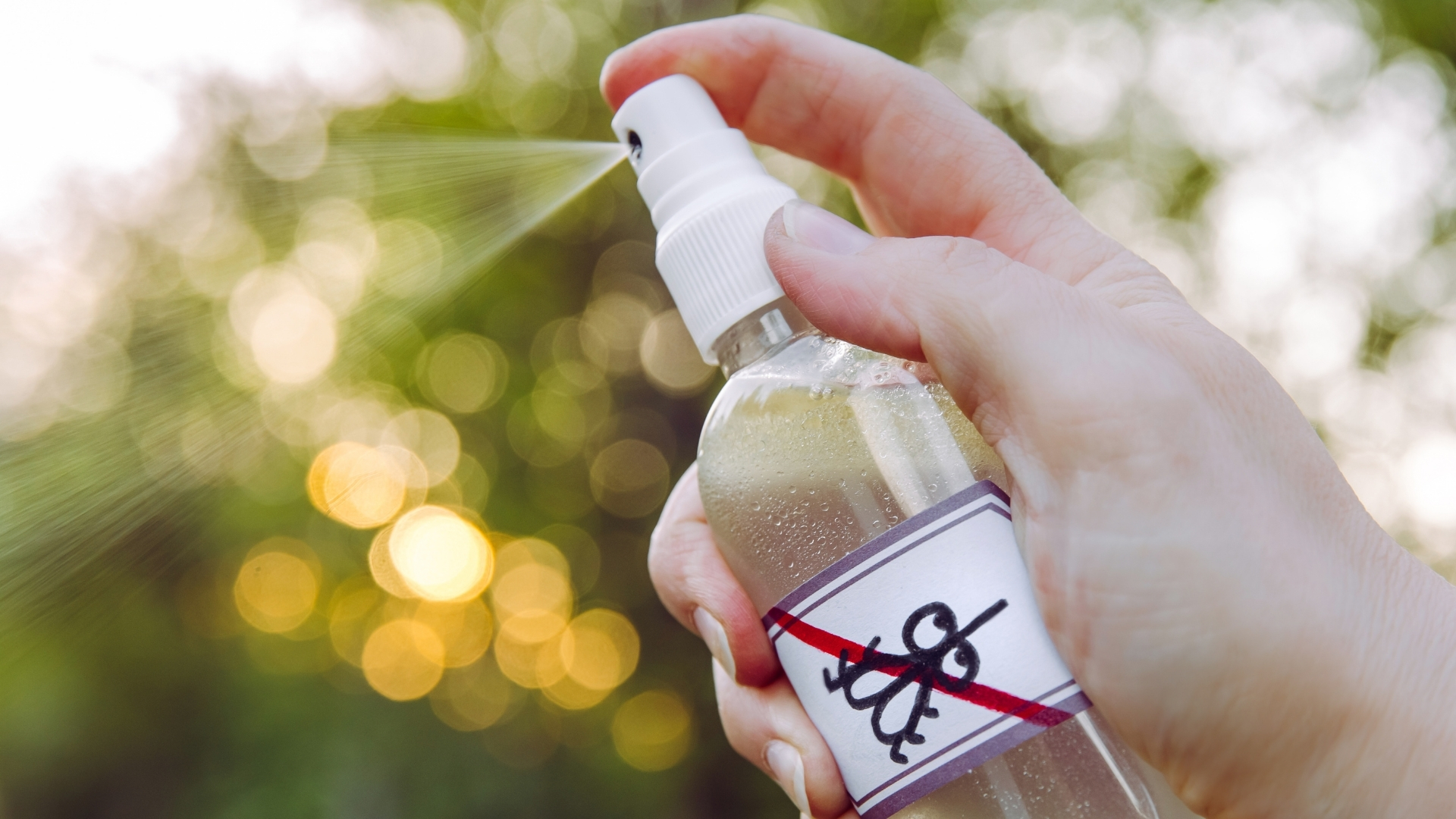 Bạn cũng có thể sử dụng các sản phẩm xua muỗi an toàn